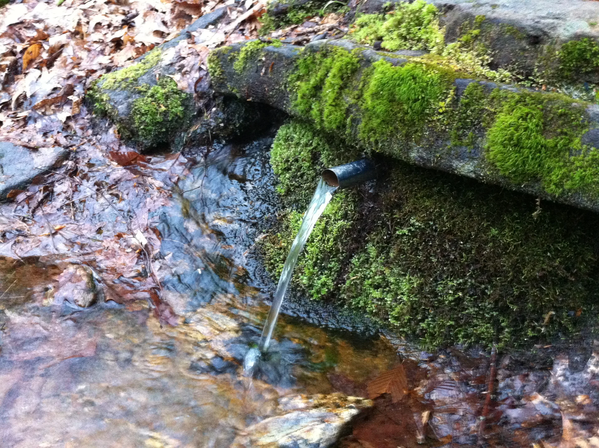 Photo on the Appalachian Trail near Winding Stair Gap, North Carolina, April 27, 2012