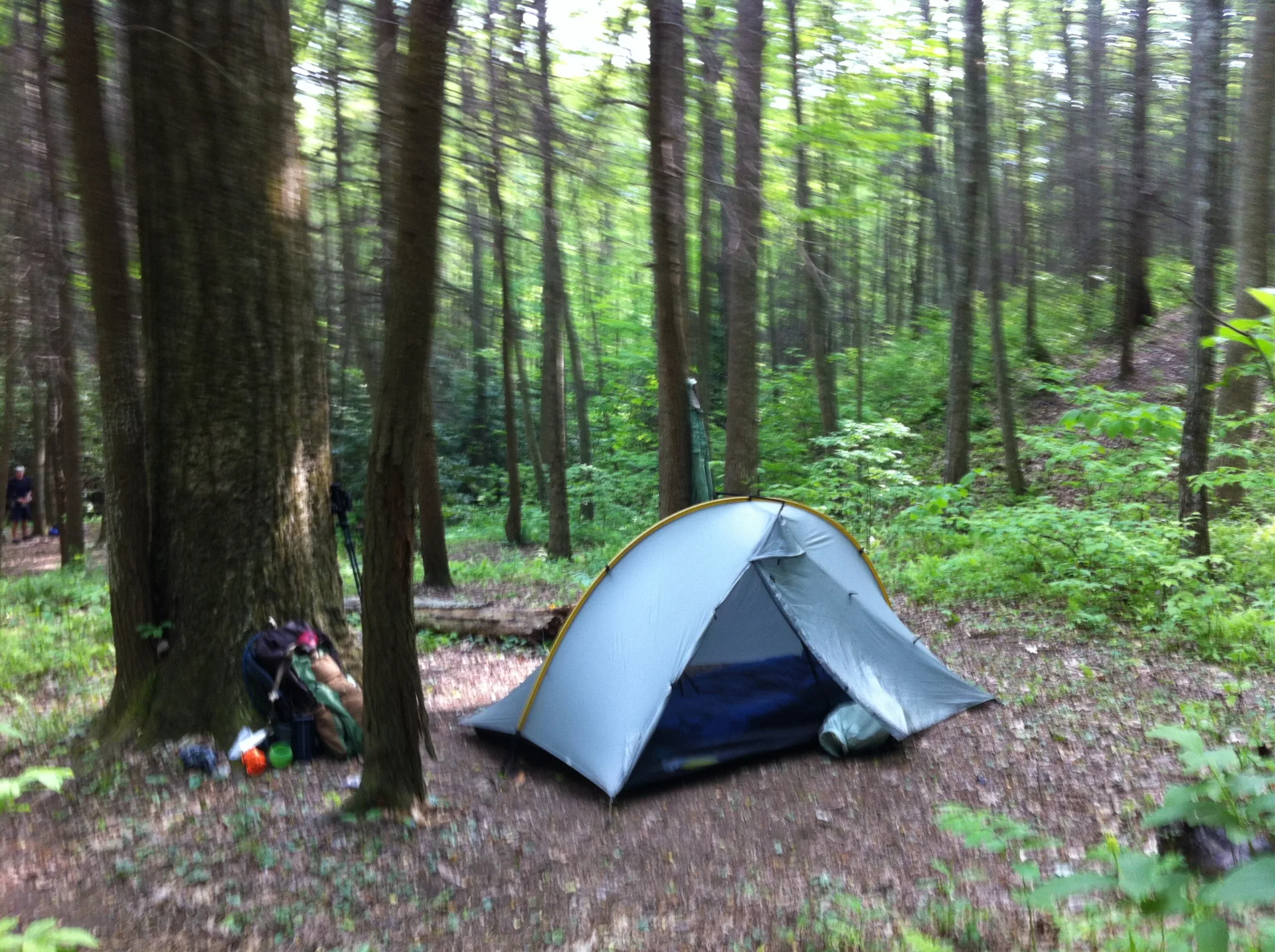 Photo on the Appalachian Trail near Fontana Dam, North Carolina, May 1, 2012
