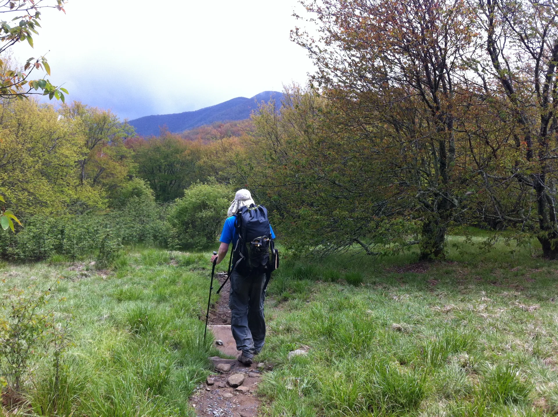 Photo on the Appalachian Trail near Clingmans Dome, North Carolina, May 4, 2012