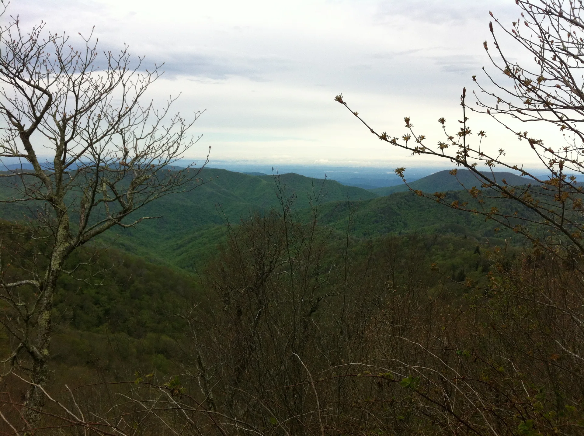 Photo on the Appalachian Trail near Clingmans Dome, North Carolina, May 4, 2012