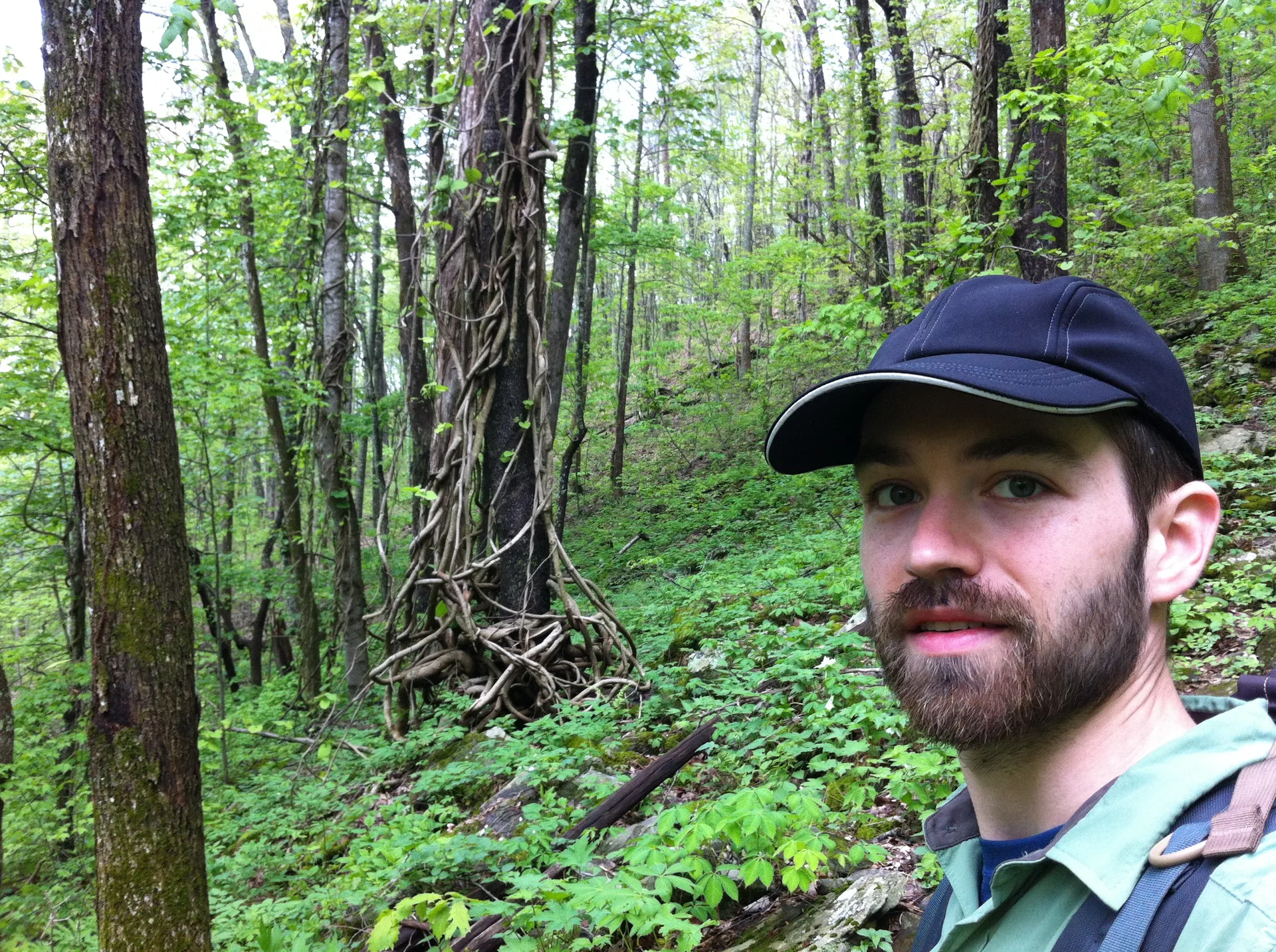 Photo on the Appalachian Trail near Neels Gap, Georgia, April 19, 2012