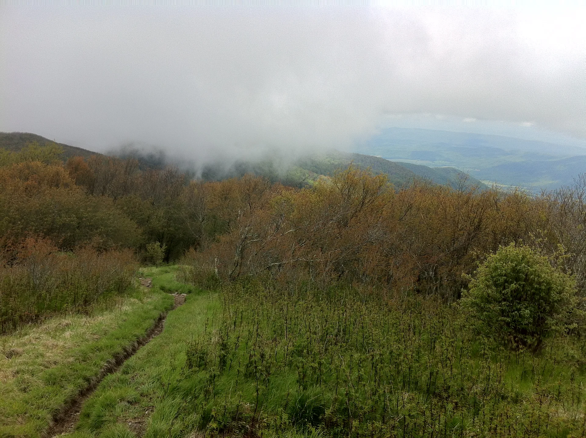 Photo on the Appalachian Trail near Clingmans Dome, North Carolina, May 4, 2012
