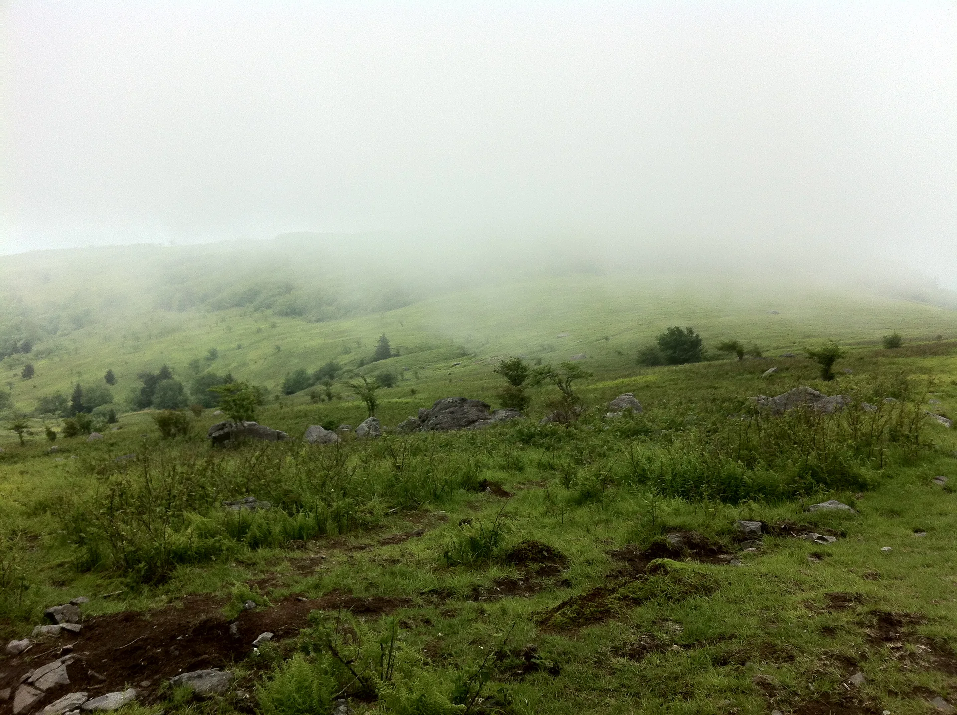 Photo on the Appalachian Trail near Mount Rogers, Virginia, June 3, 2012