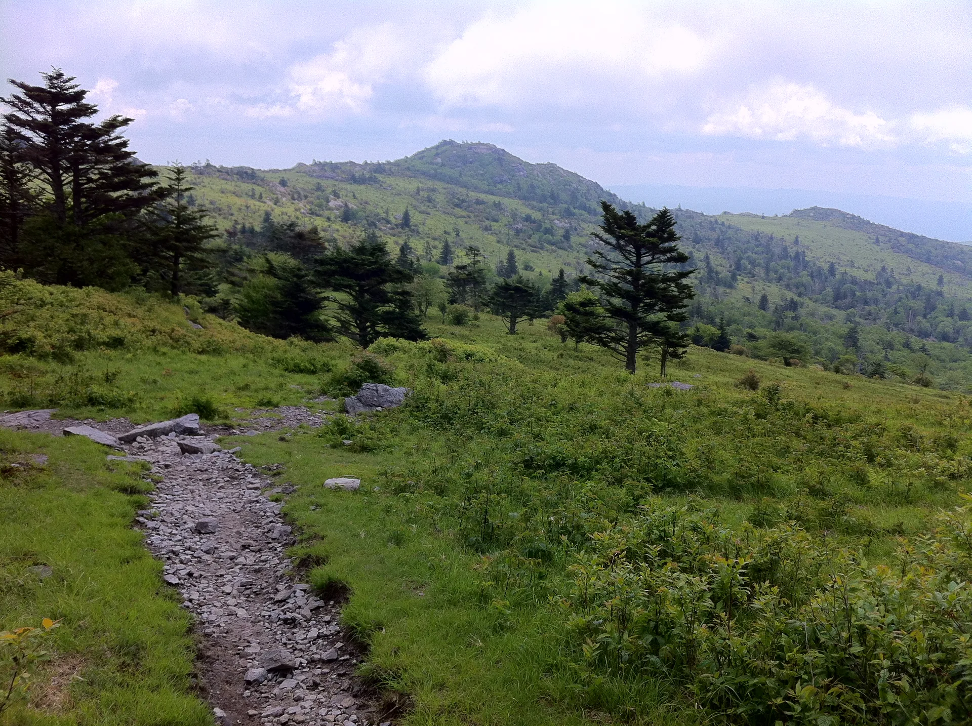 Photo on the Appalachian Trail near Mount Rogers, Virginia, June 3, 2012