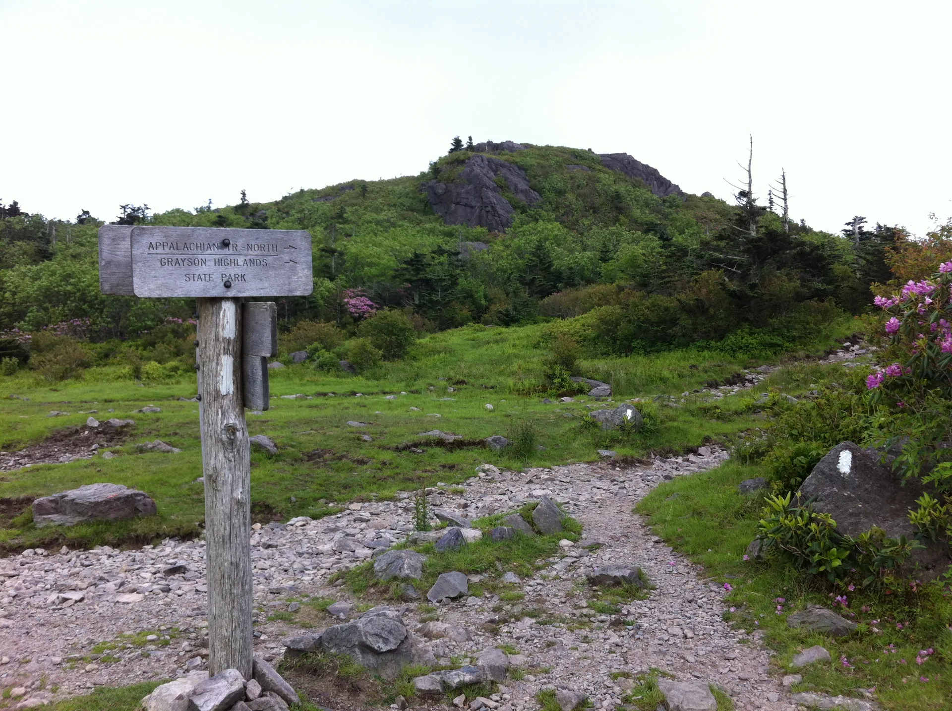 Photo on the Appalachian Trail near Mount Rogers, Virginia, June 3, 2012