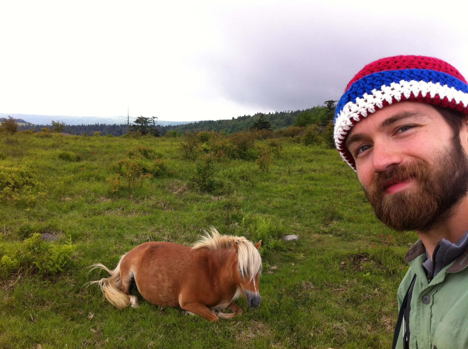 Photo on the Appalachian Trail near Mount Rogers, Virginia, June 3, 2012