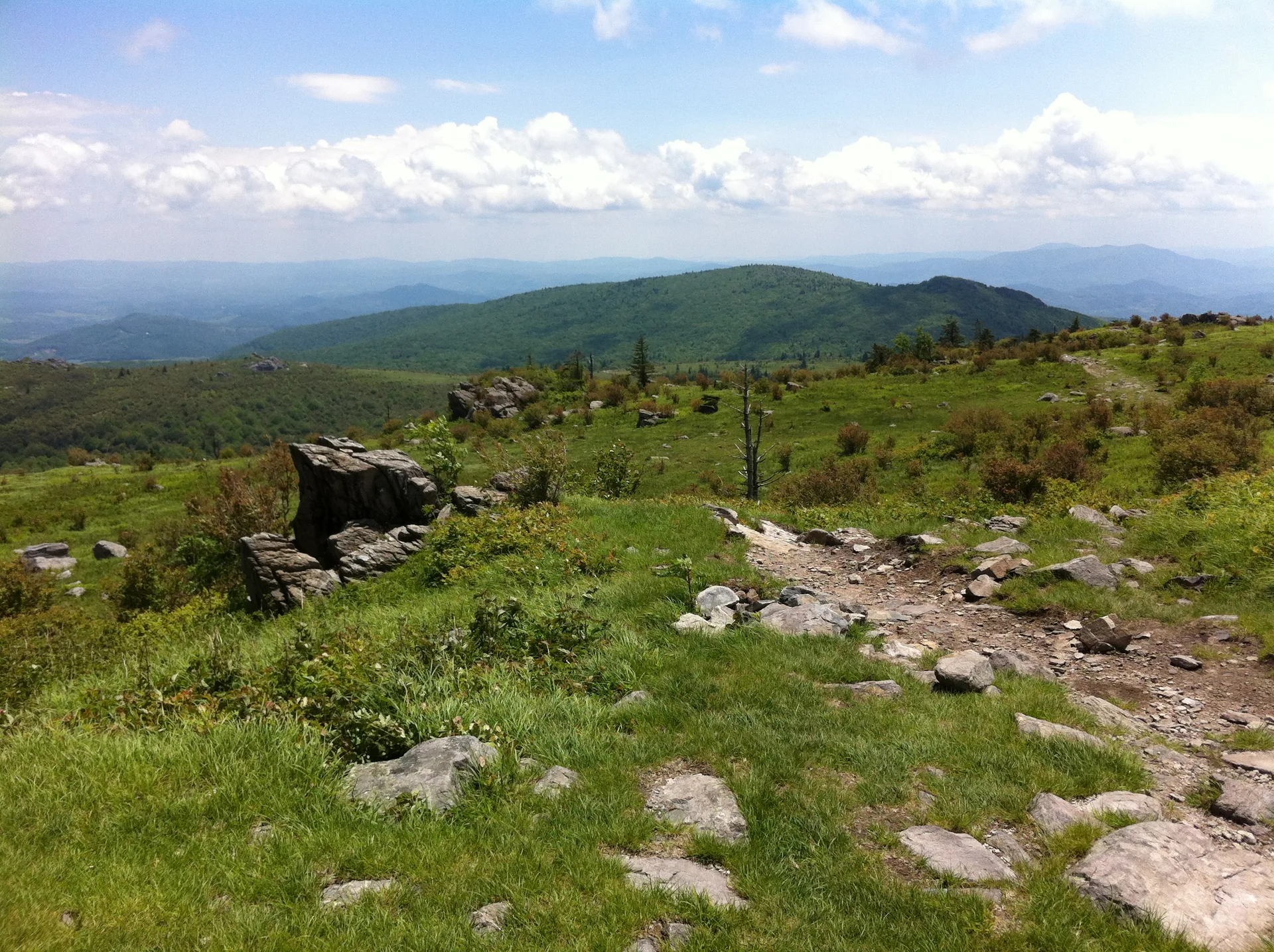 Photo on the Appalachian Trail near Mount Rogers, Virginia, June 3, 2012