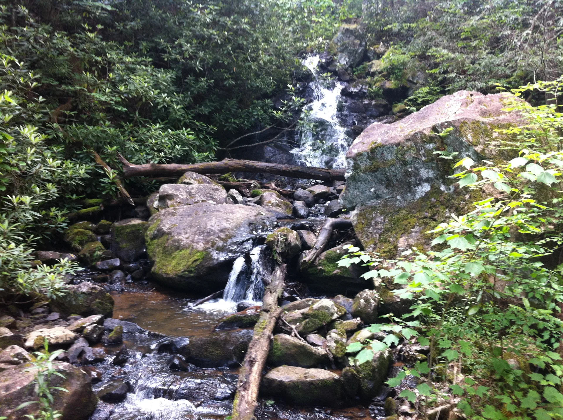 Photo on the Appalachian Trail near Marion, Virginia, June 4, 2012