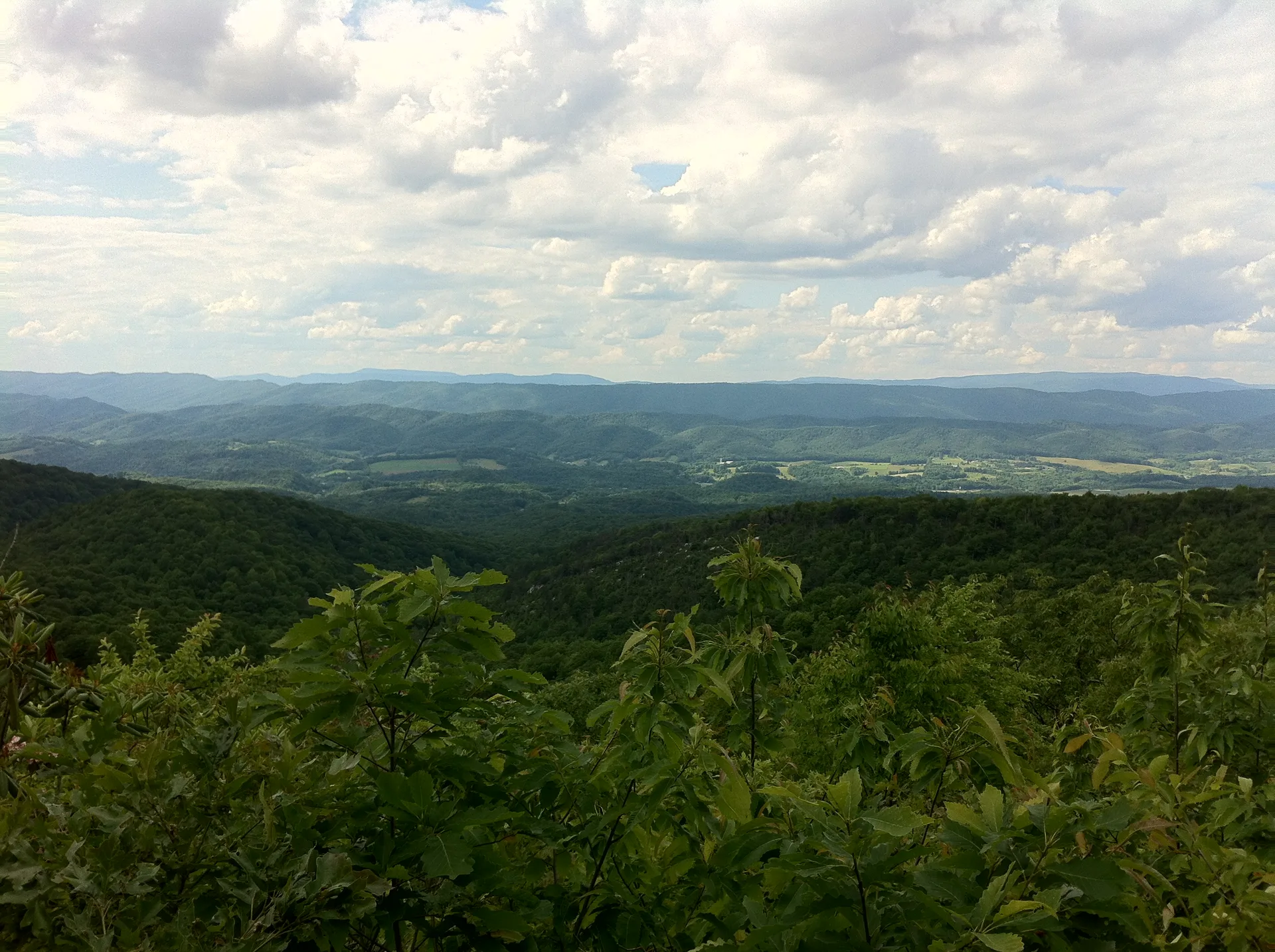 Photo on the Appalachian Trail near Marion, Virginia, June 5, 2012