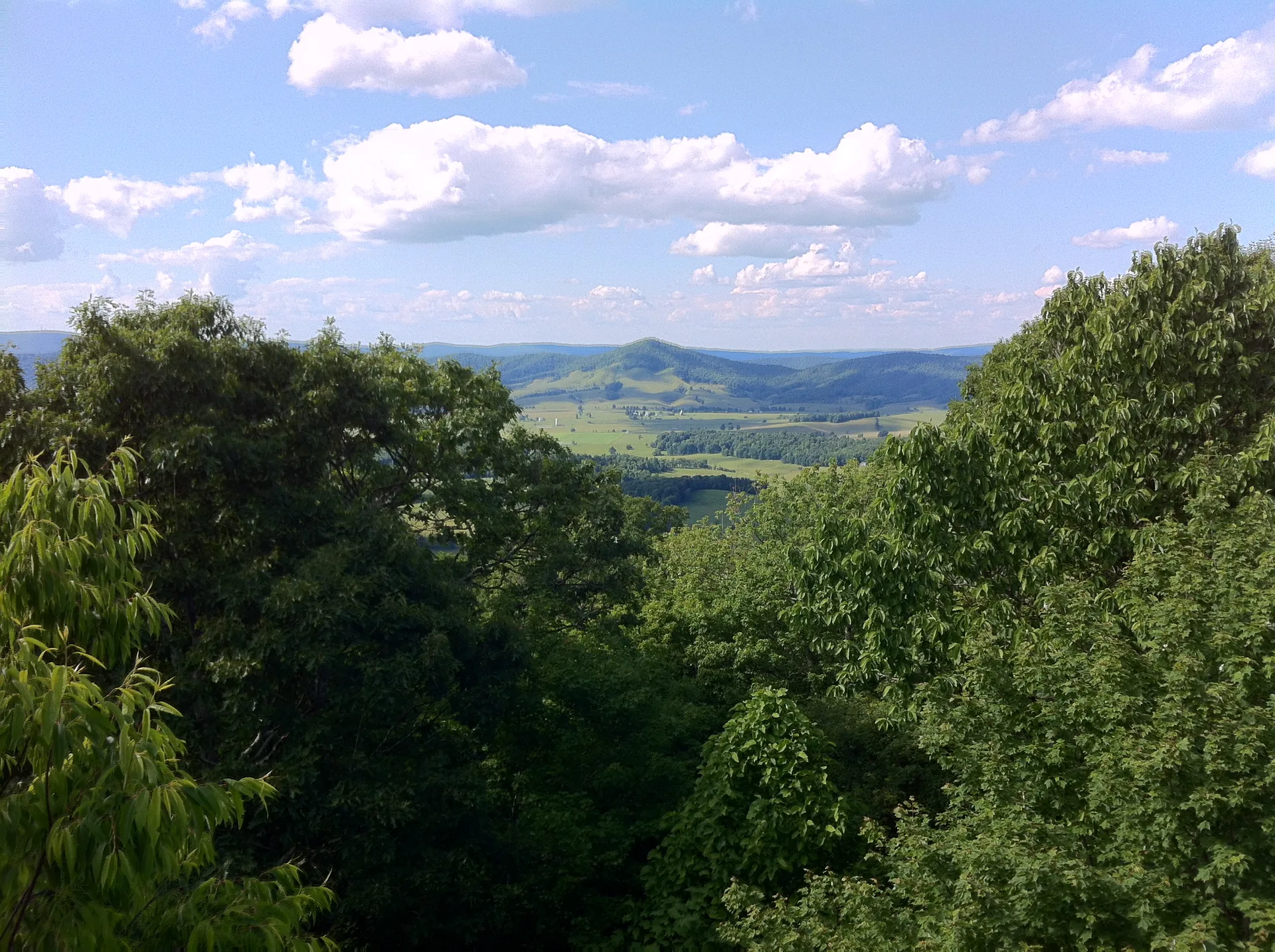 Photo on the Appalachian Trail near Marion, Virginia, June 7, 2012