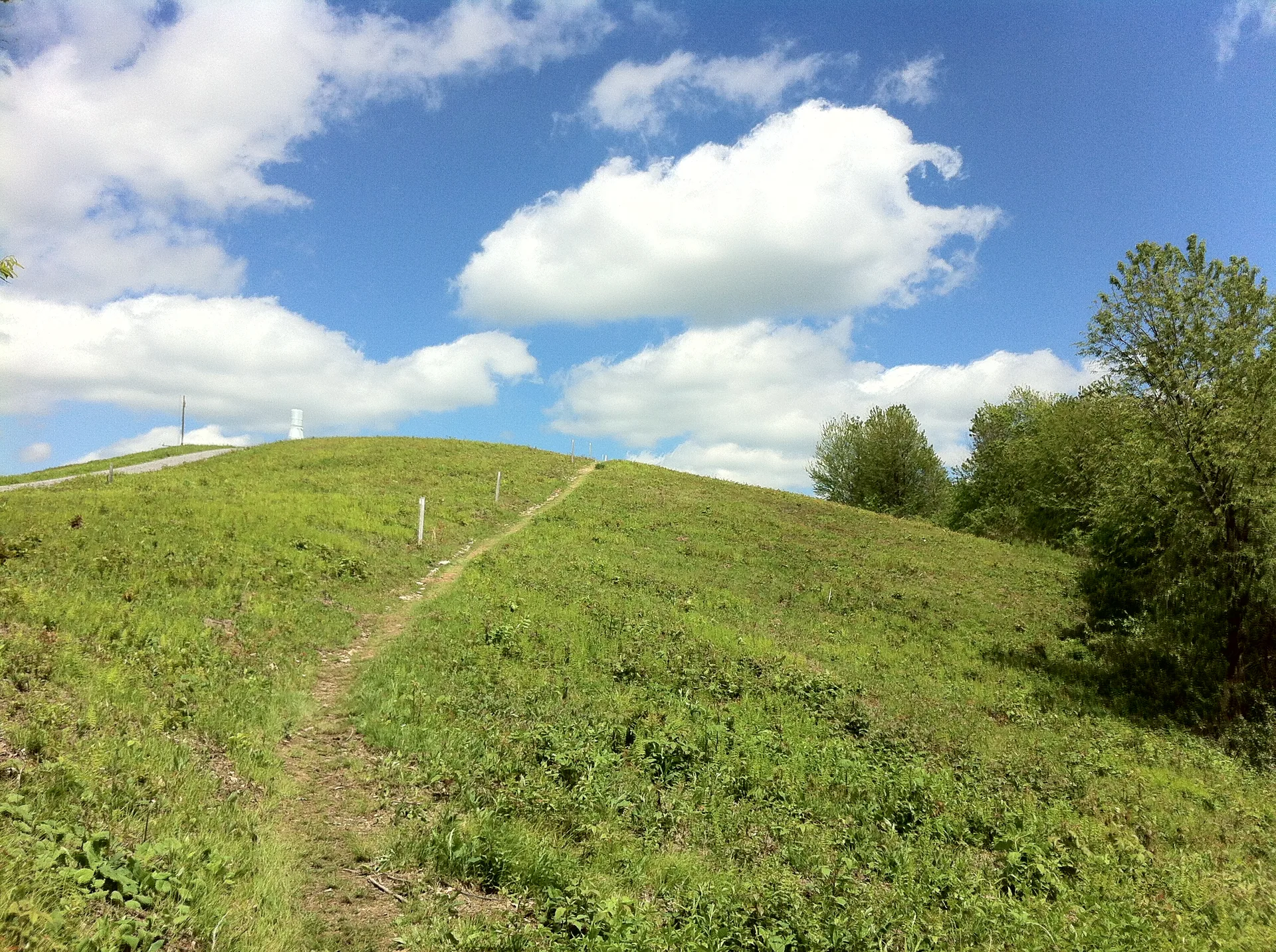 Photo on the Appalachian Trail near Davenport Gap, Tennessee, May 10, 2012