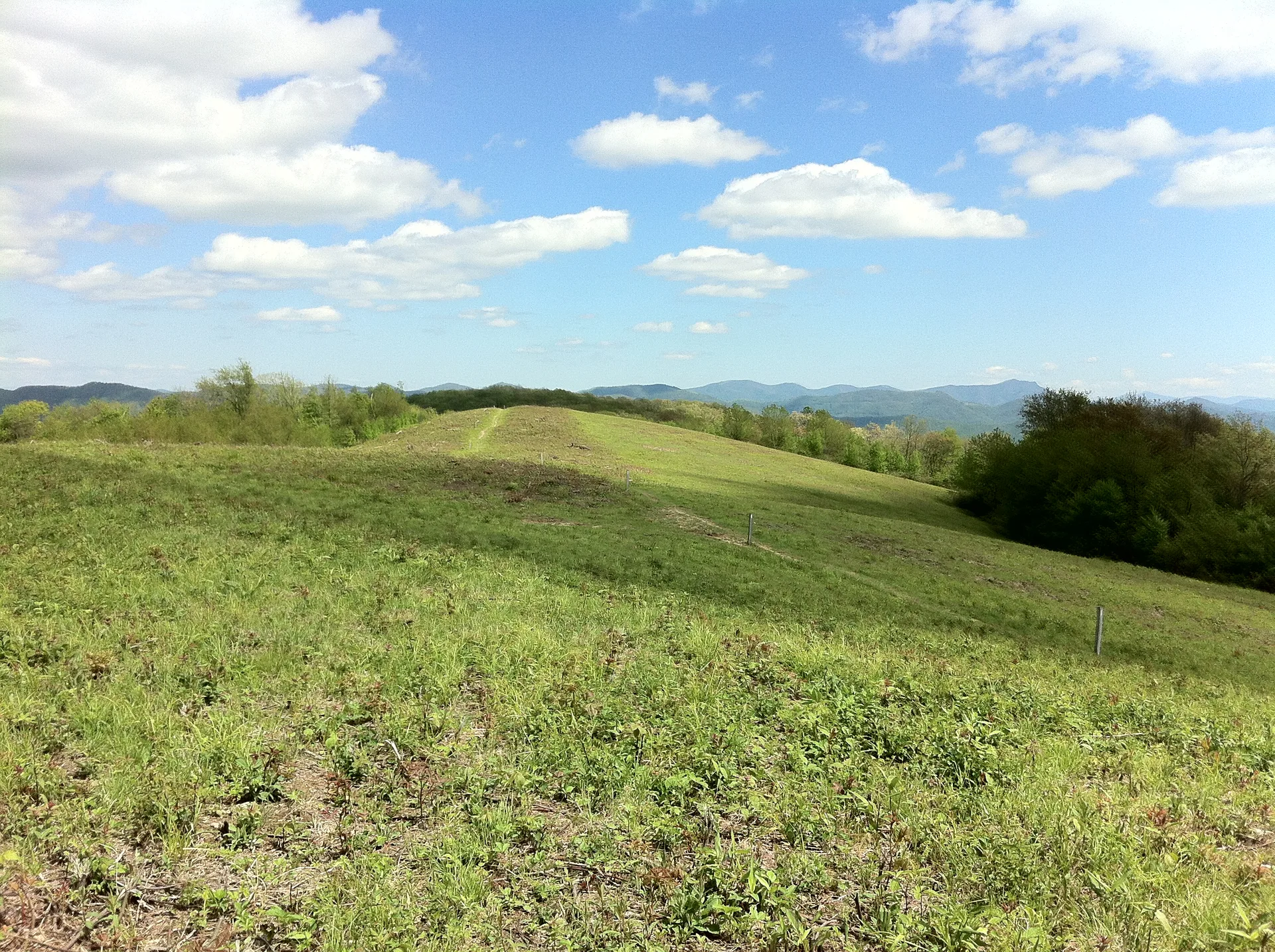 Photo on the Appalachian Trail near Davenport Gap, Tennessee, May 10, 2012