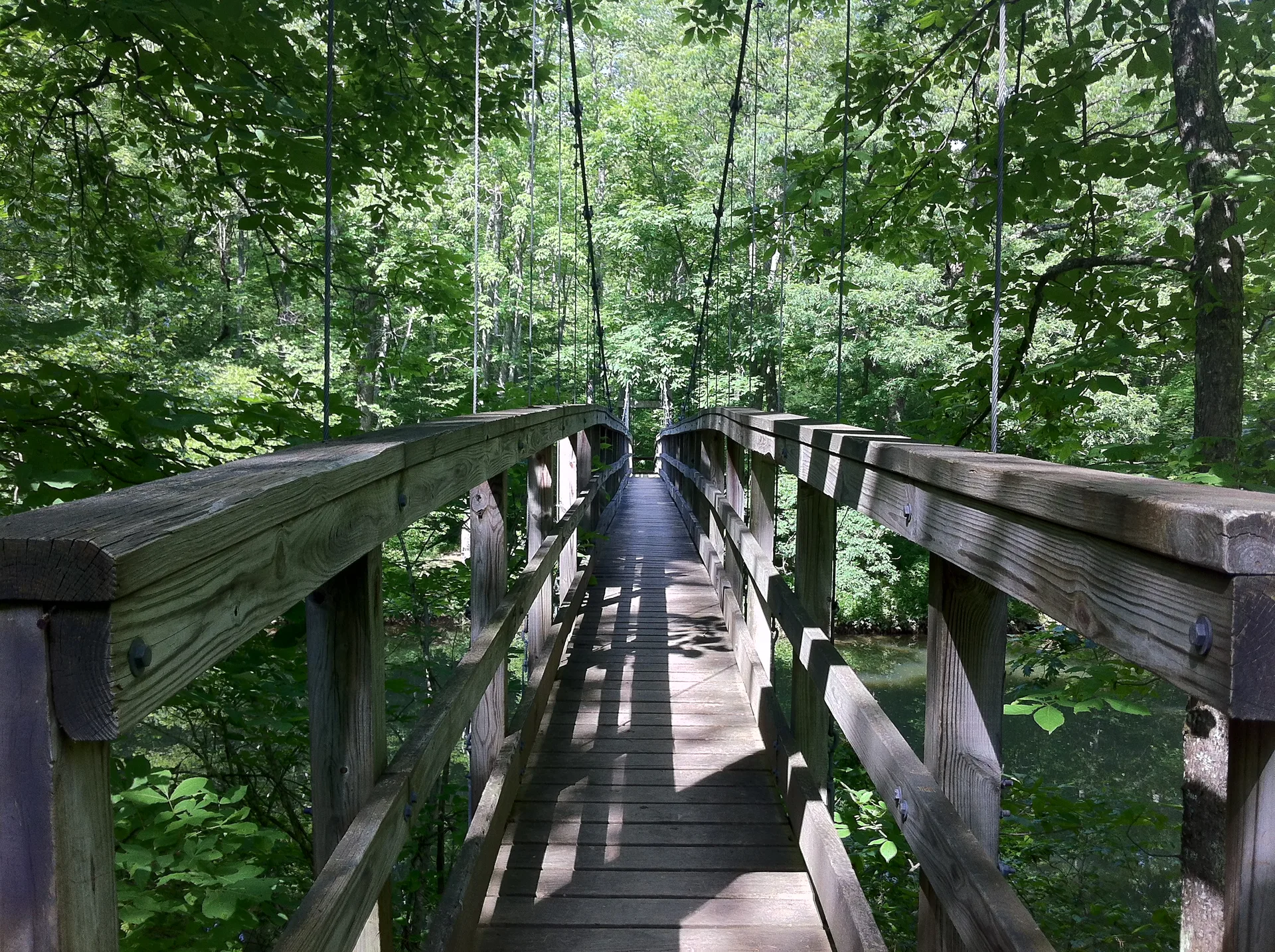 Photo on the Appalachian Trail near Pearisburg, Virginia, June 9, 2012
