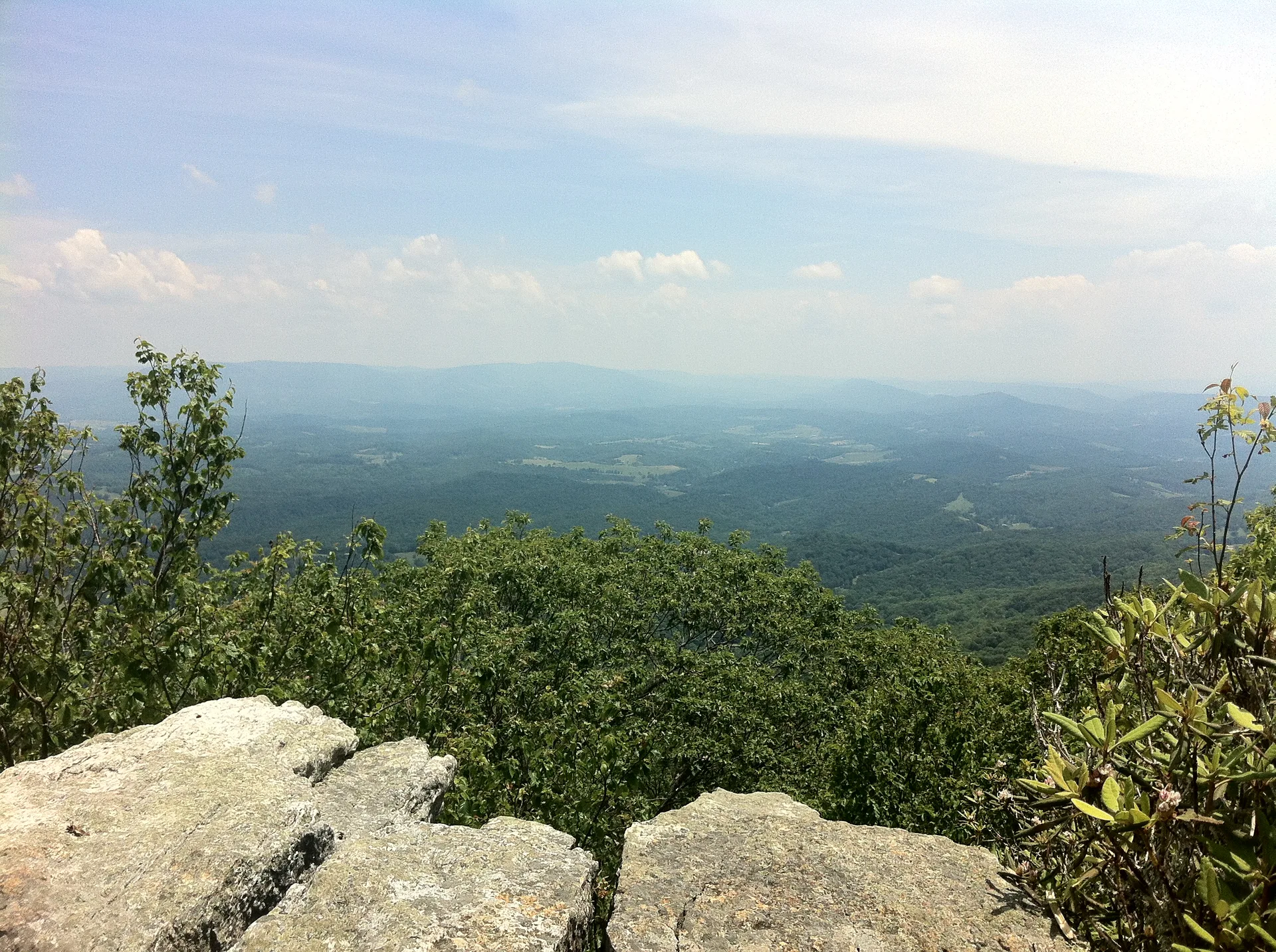 Photo on the Appalachian Trail near Pearisburg, Virginia, June 10, 2012