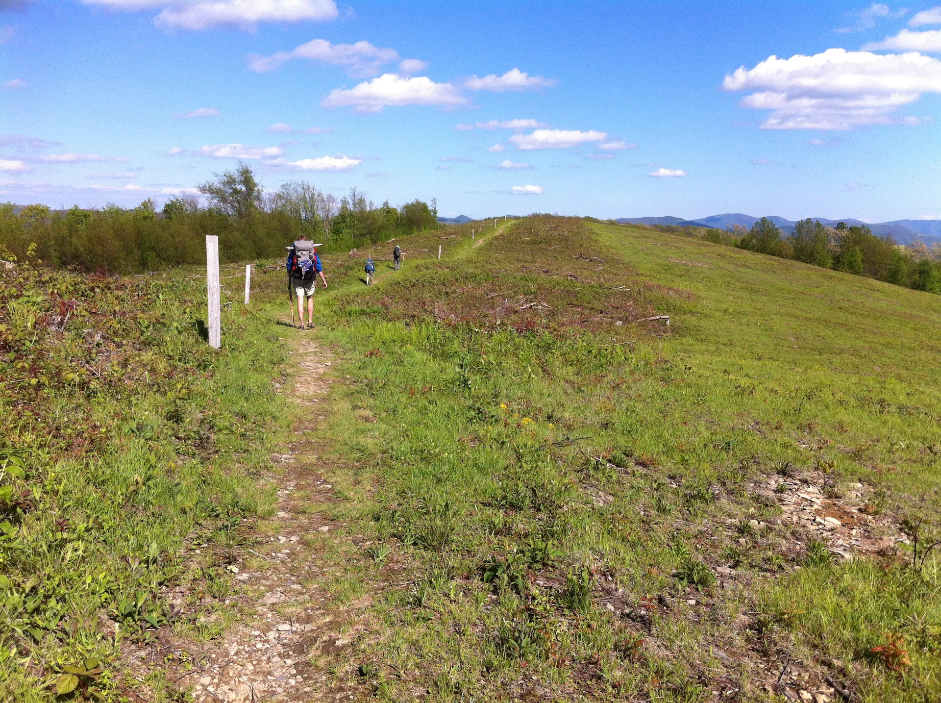 Photo on the Appalachian Trail near Davenport Gap, Tennessee, May 10, 2012