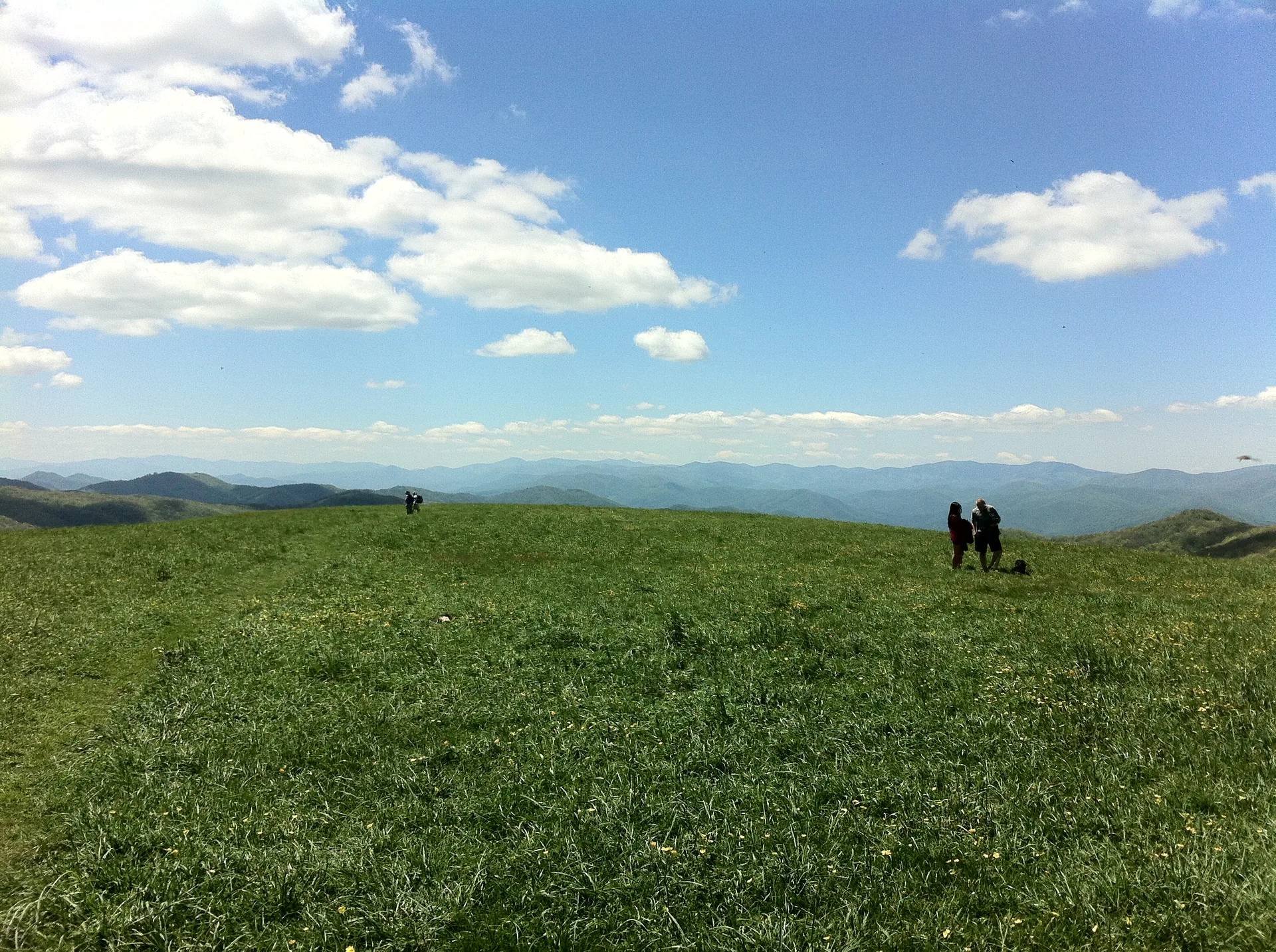 Photo on the Appalachian Trail near Davenport Gap, Tennessee, May 11, 2012