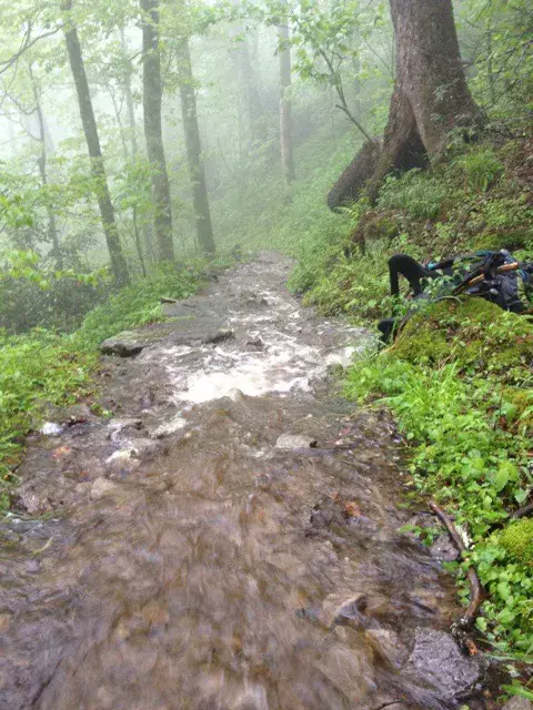 Photo on the Appalachian Trail near Davenport Gap, Tennessee, May 9, 2012