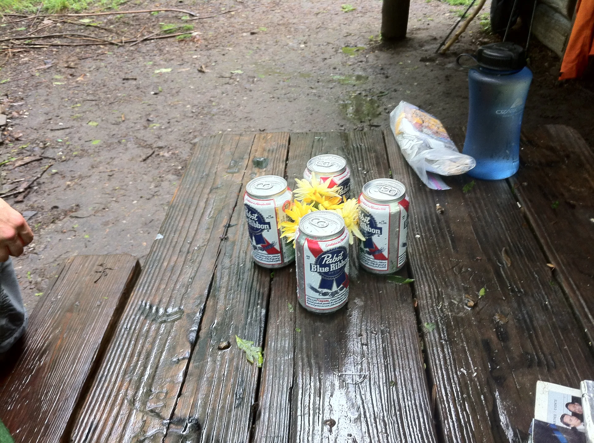 Photo on the Appalachian Trail near Hot Springs, North Carolina, May 14, 2012