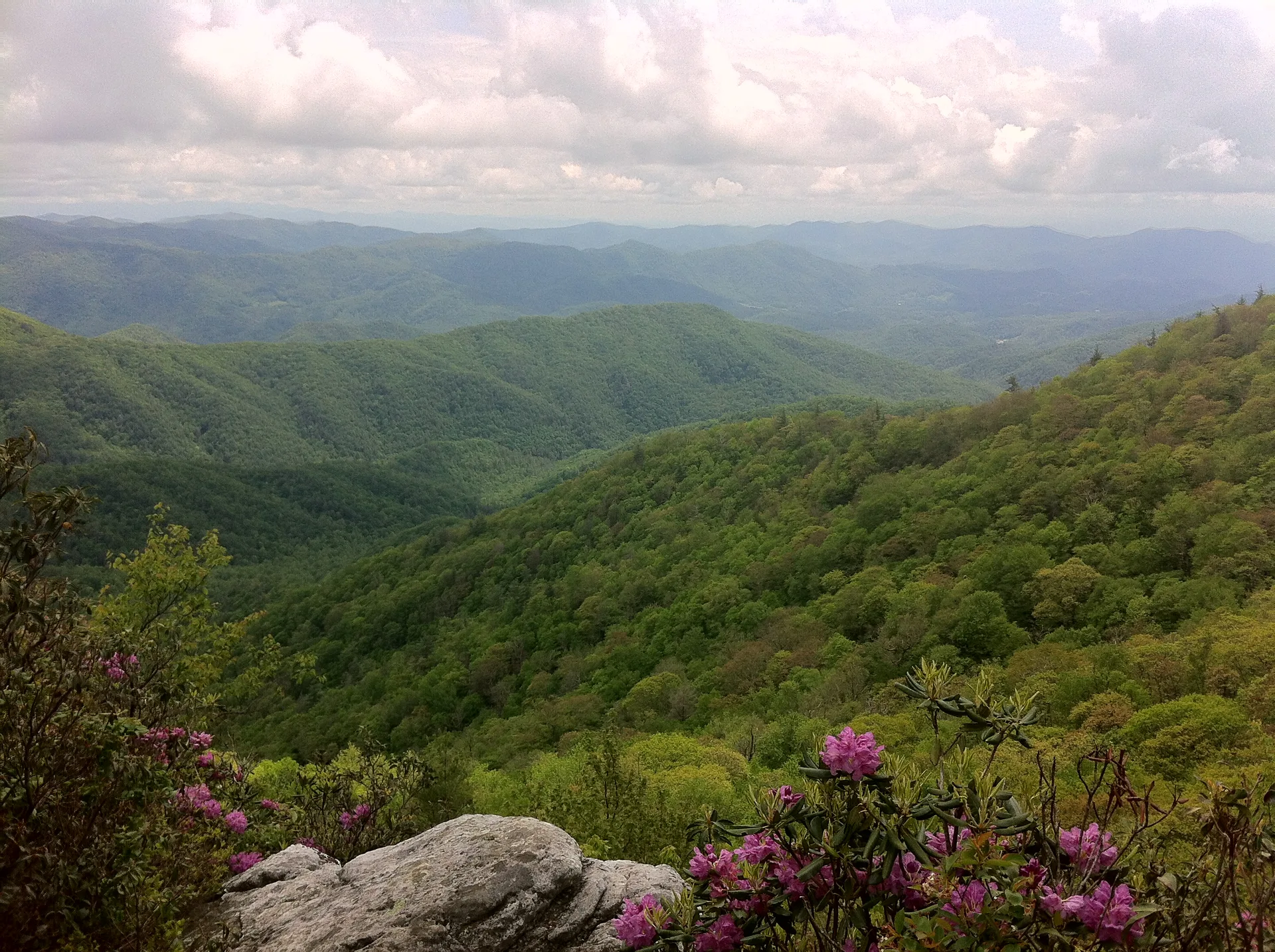 Photo on the Appalachian Trail near Hot Springs, North Carolina, May 15, 2012