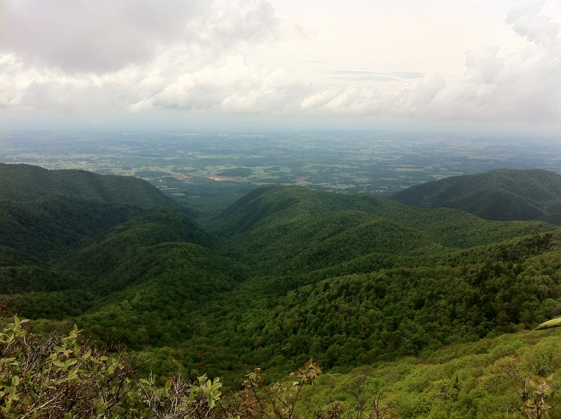 Photo on the Appalachian Trail near Hot Springs, North Carolina, May 15, 2012