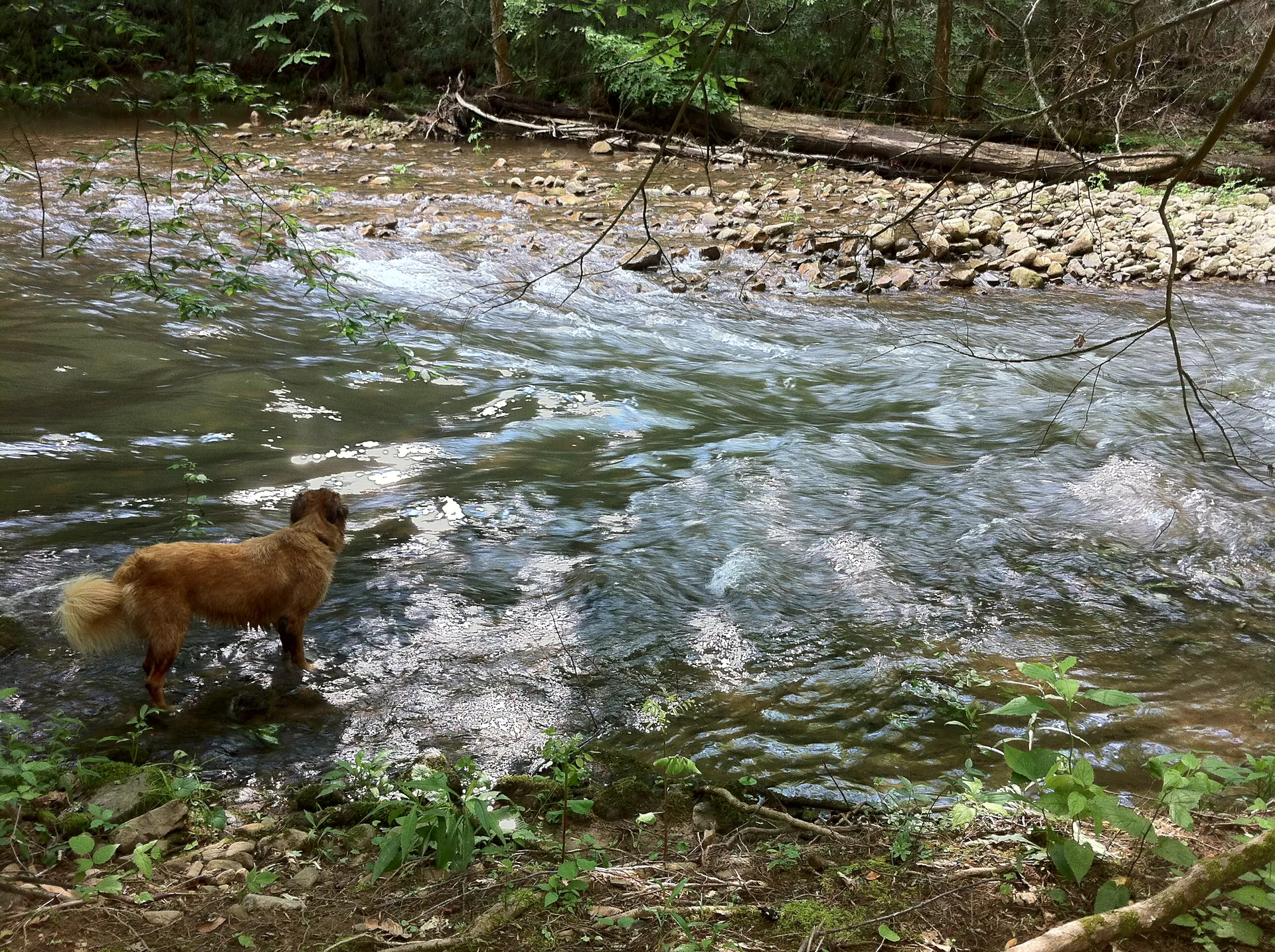 Photo off the trail in Damascus, VA, May 18, 2012