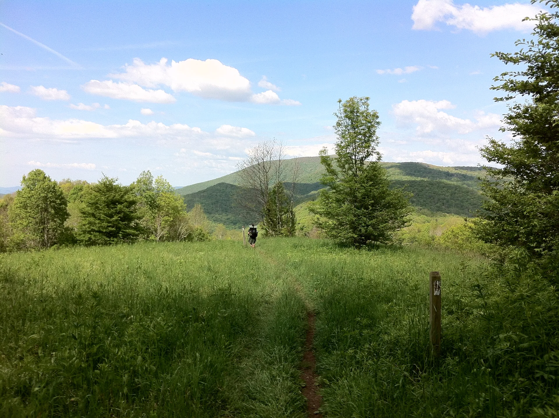 Photo off the trail in Damascus, VA, May 19, 2012