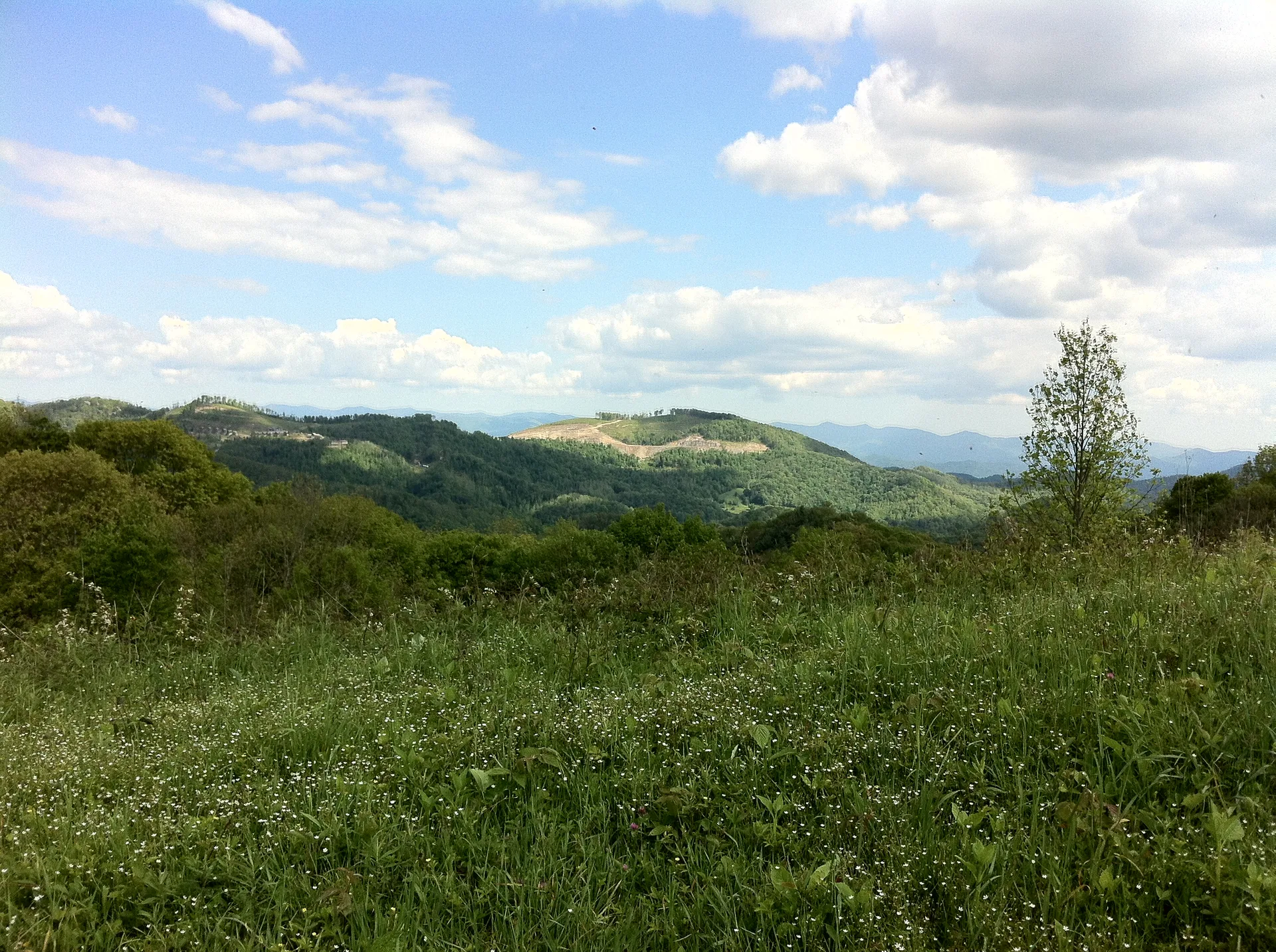 Photo off the trail in Damascus, VA, May 19, 2012