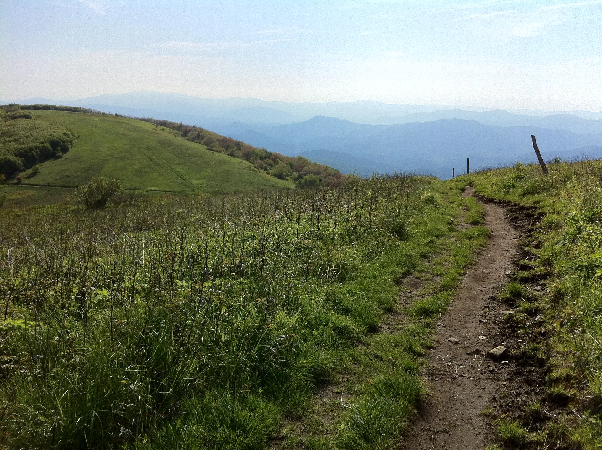Photo on the Appalachian Trail near Erwin, North Carolina, May 21, 2012