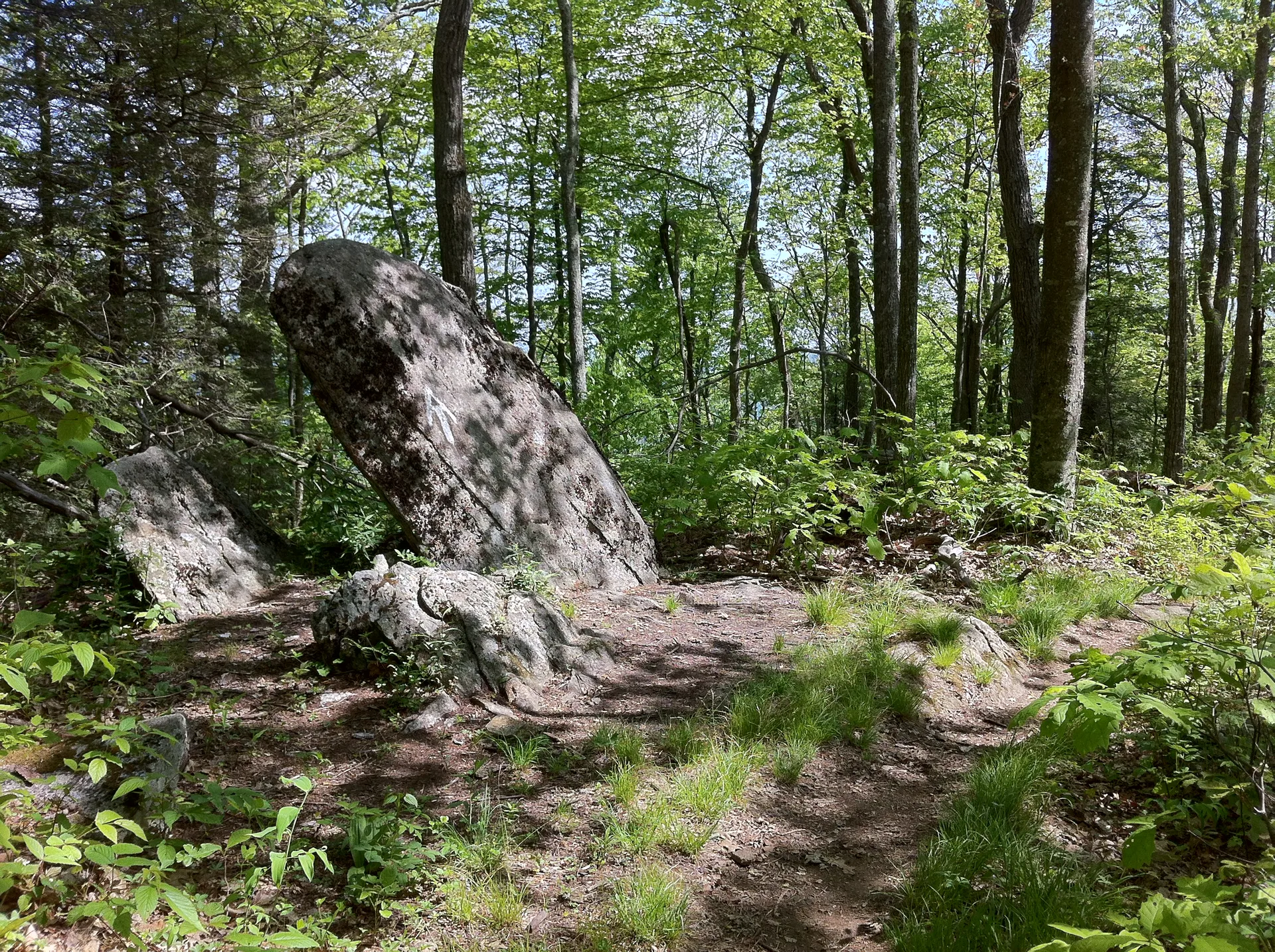 Photo on the Appalachian Trail near Erwin, North Carolina, May 21, 2012