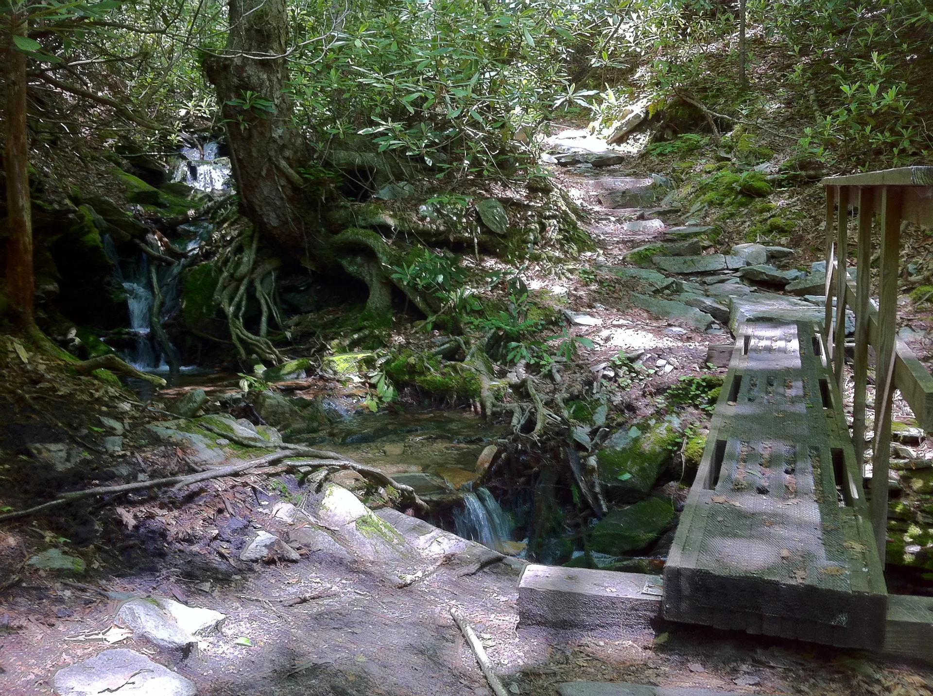Photo on the Appalachian Trail near Erwin, North Carolina, May 21, 2012
