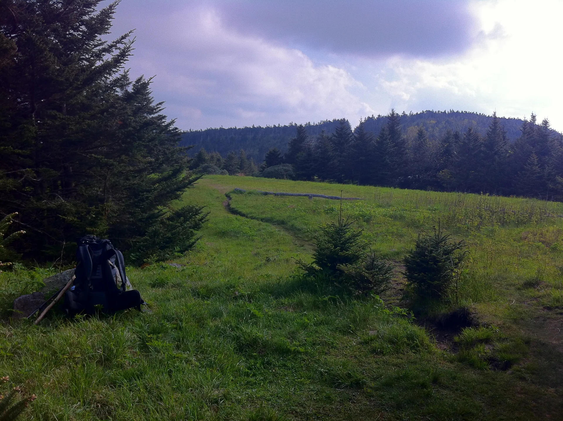 Photo on the Appalachian Trail near Roan Mountain, Tennessee, May 24, 2012