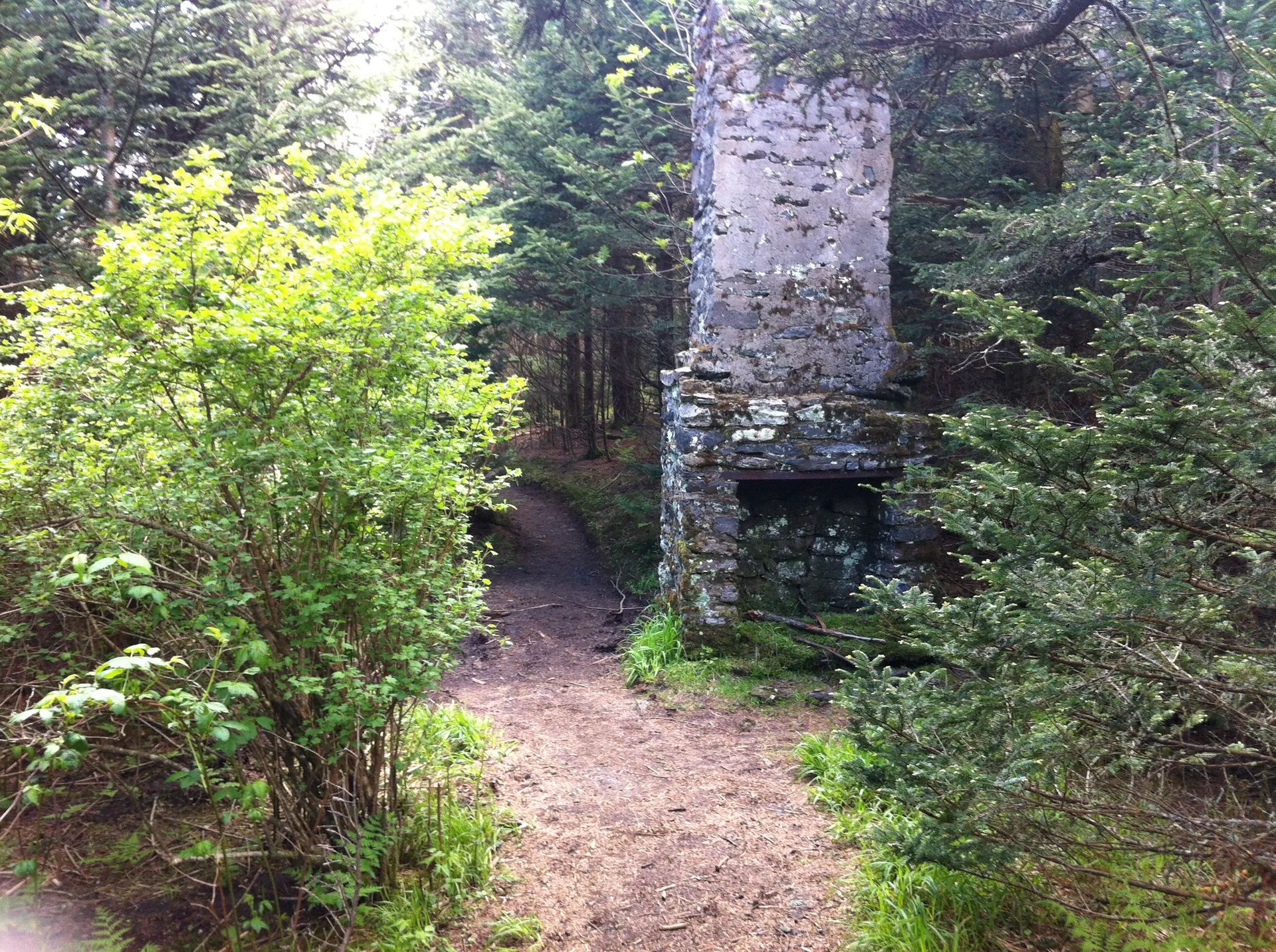 Photo on the Appalachian Trail near Roan Mountain, Tennessee, May 24, 2012