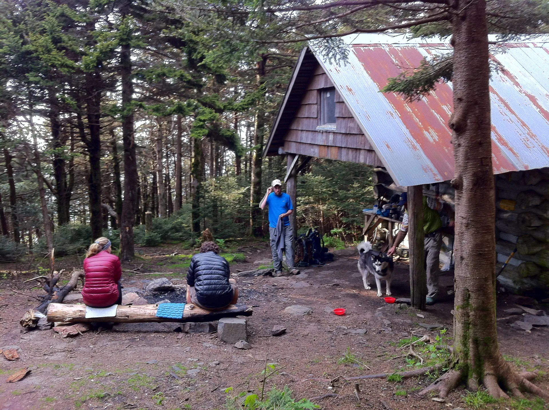 Photo on the Appalachian Trail near Roan Mountain, Tennessee, May 24, 2012
