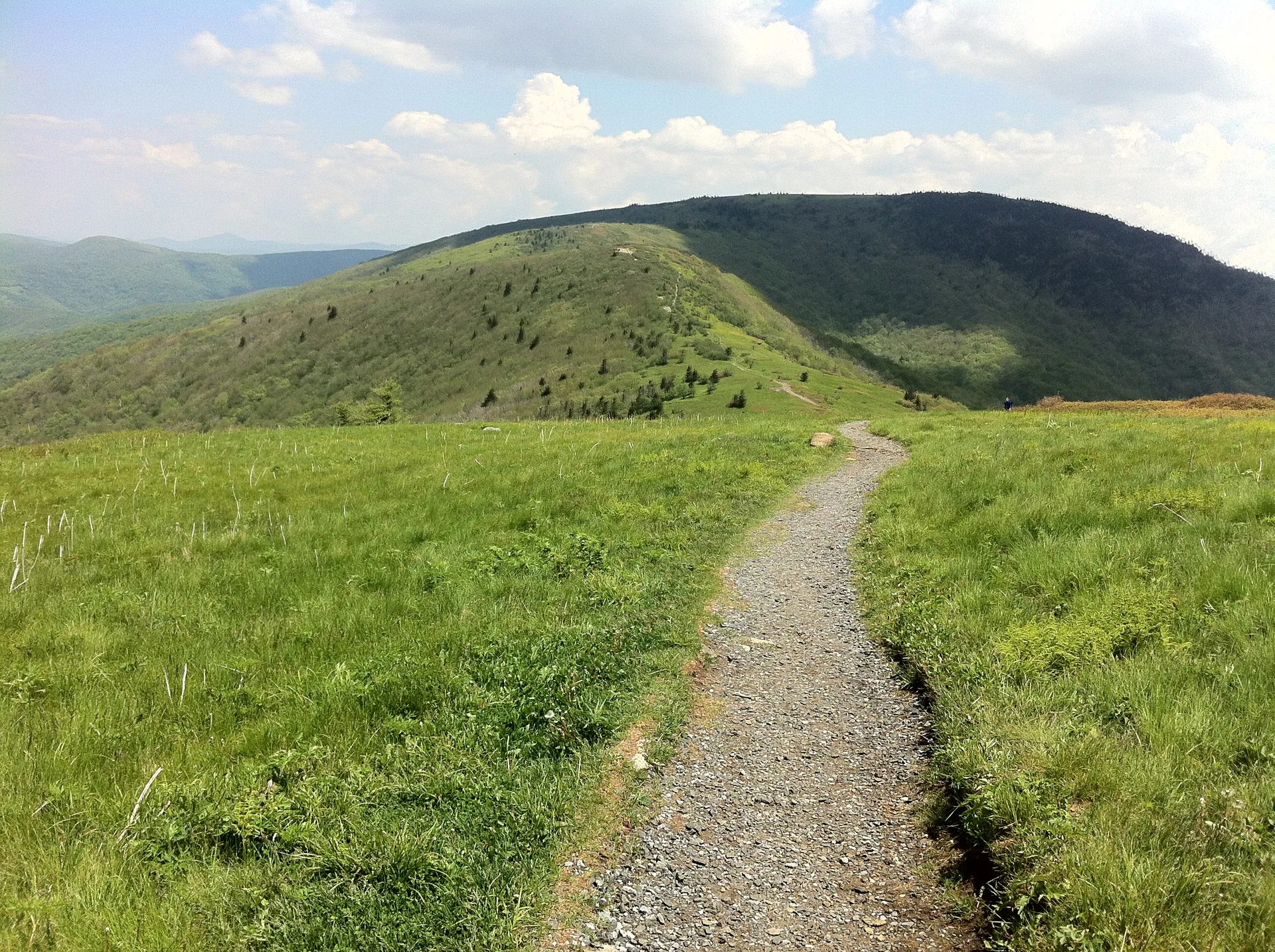 Photo on the Appalachian Trail near Roan Mountain, Tennessee, May 25, 2012