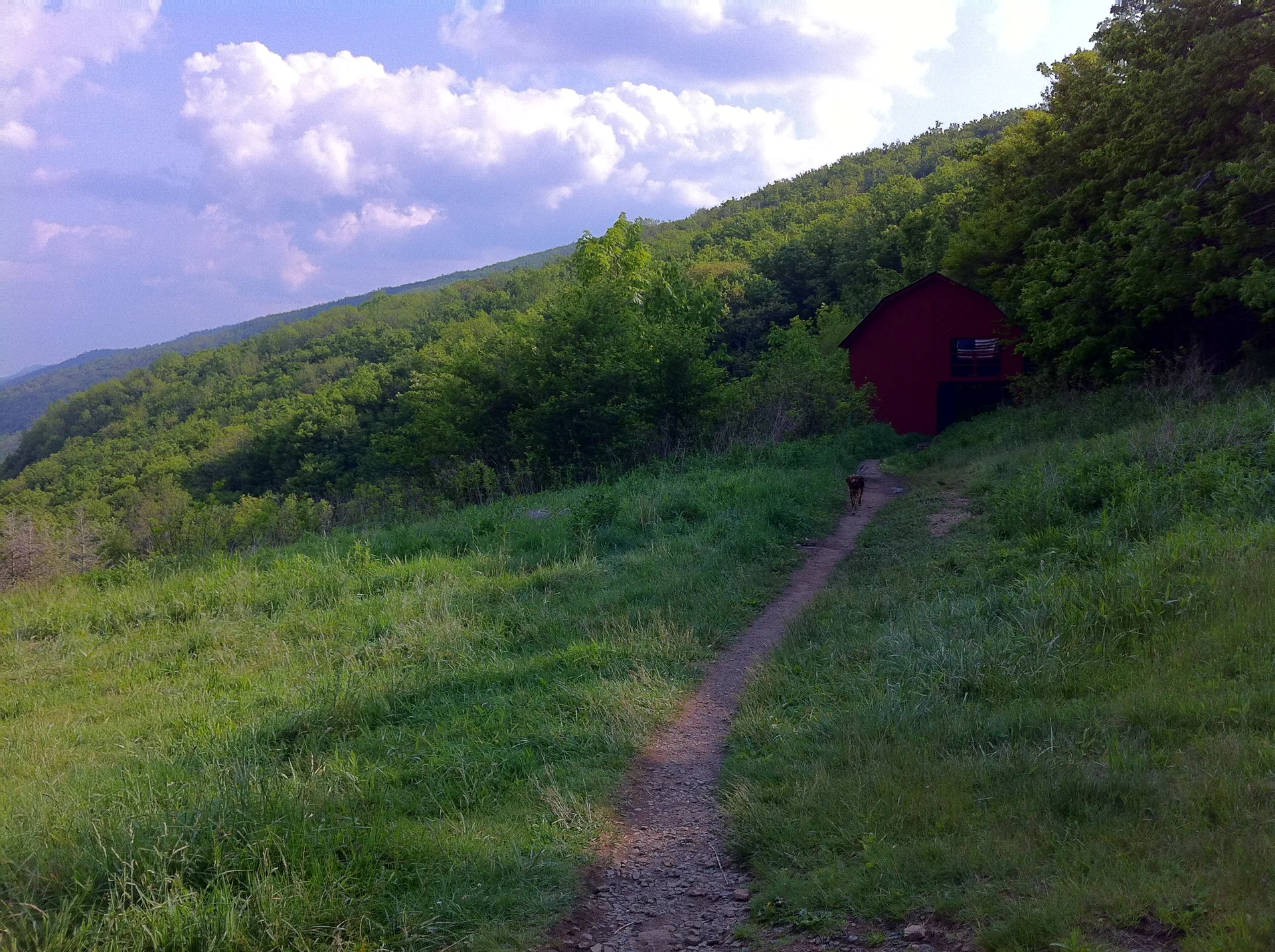 Photo on the Appalachian Trail near Roan Mountain, Tennessee, May 25, 2012