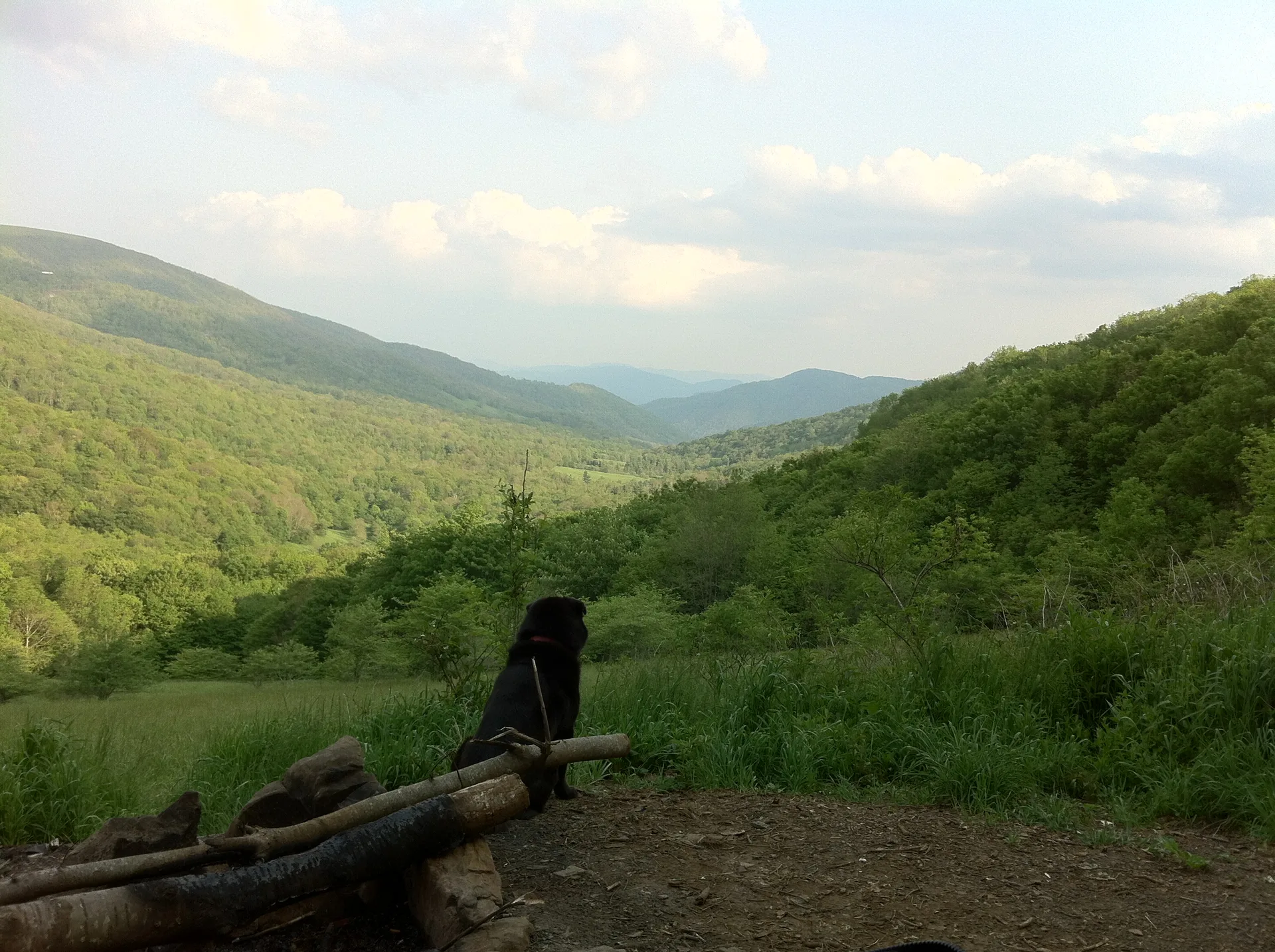 Photo on the Appalachian Trail near Roan Mountain, Tennessee, May 25, 2012