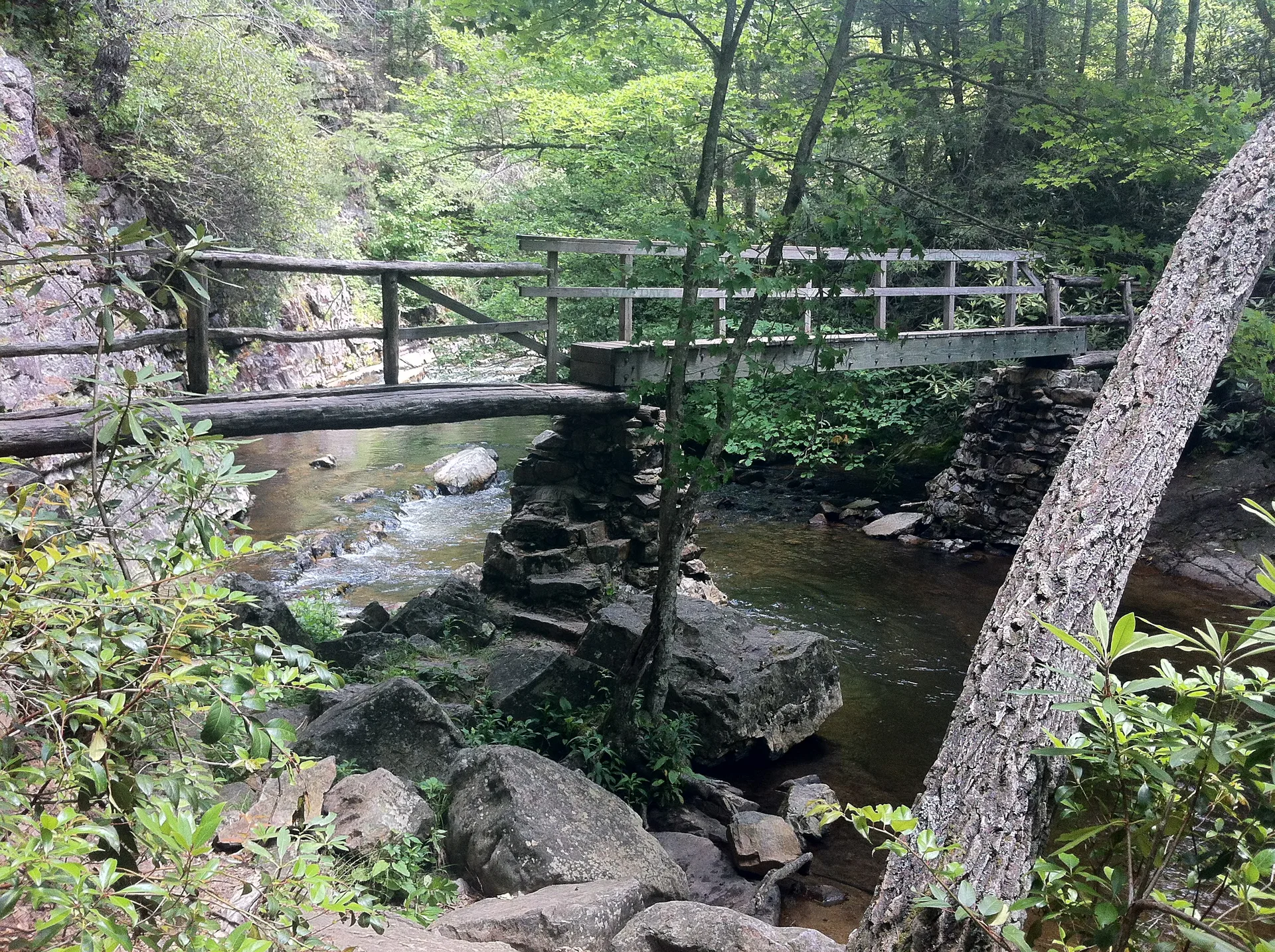 Photo on the Appalachian Trail near Roan Mountain, Tennessee, May 27, 2012