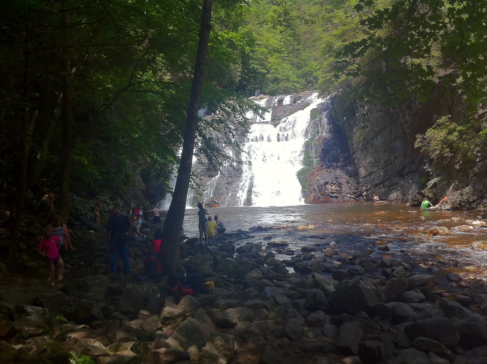 Photo on the Appalachian Trail near Roan Mountain, Tennessee, May 27, 2012