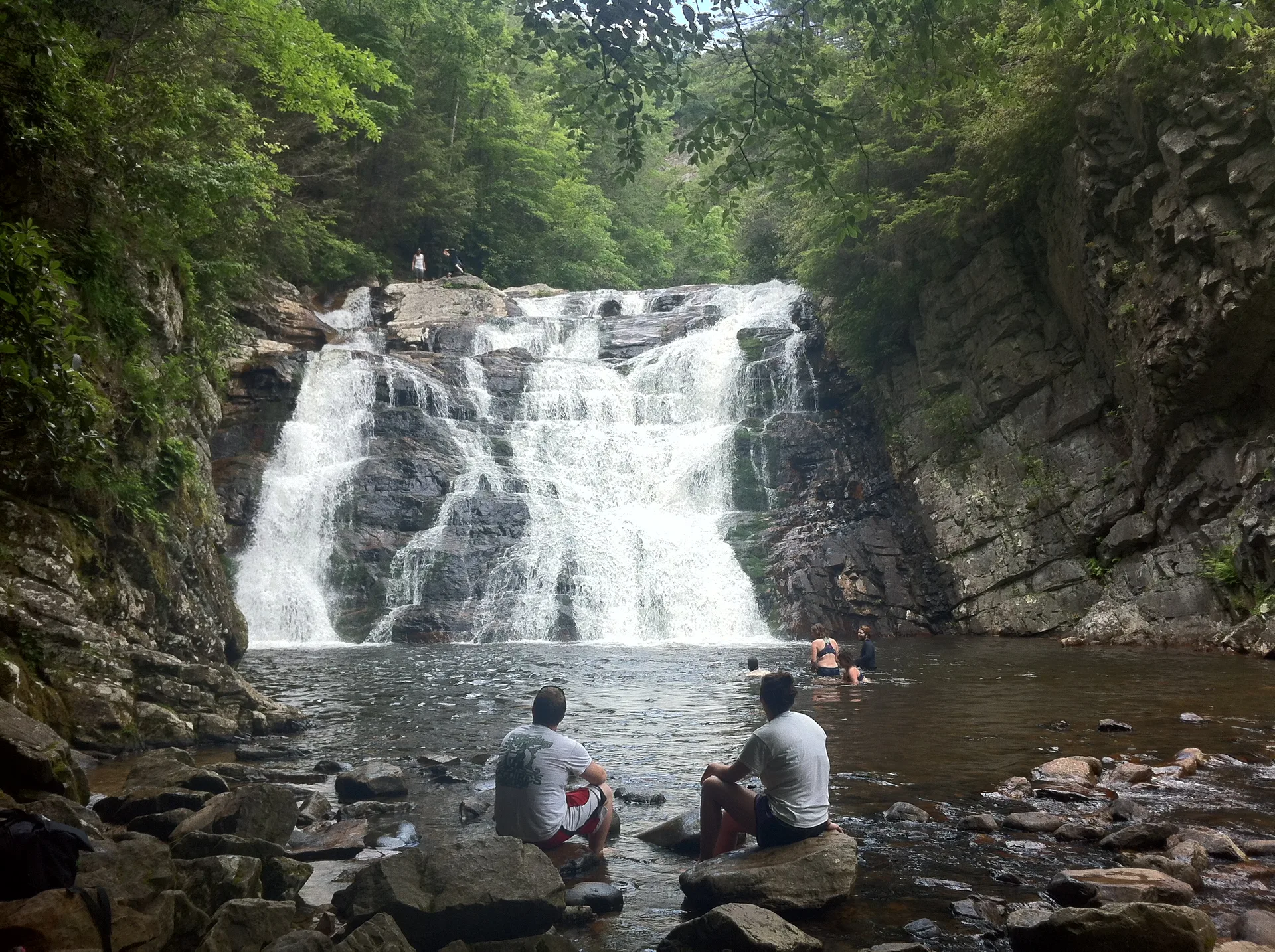Photo on the Appalachian Trail near Roan Mountain, Tennessee, May 27, 2012