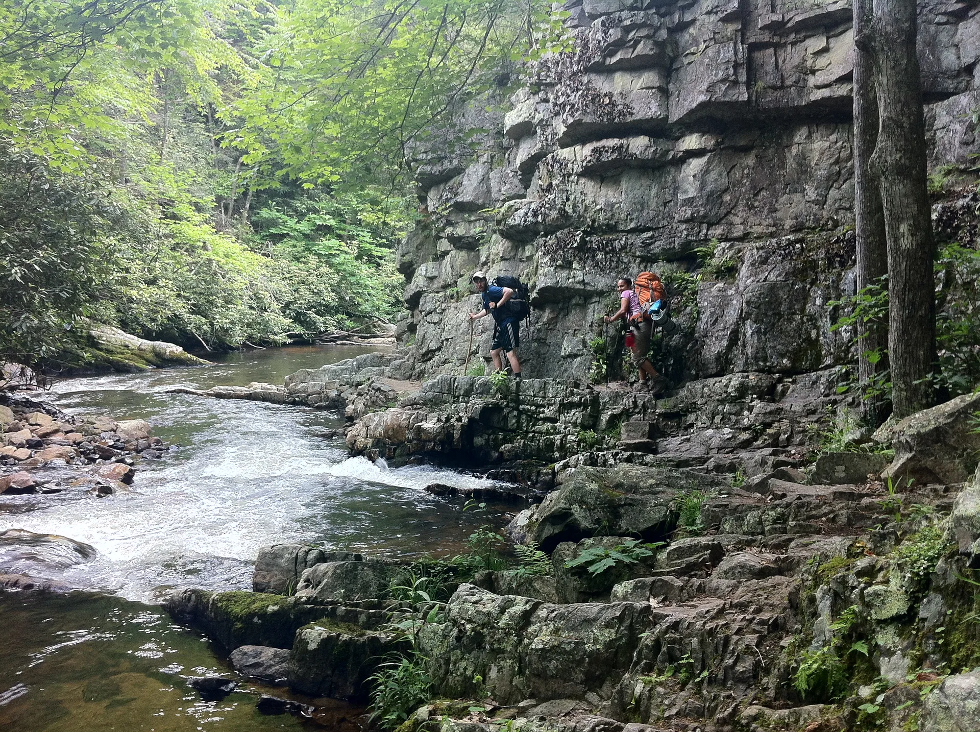 Photo on the Appalachian Trail near Roan Mountain, Tennessee, May 27, 2012