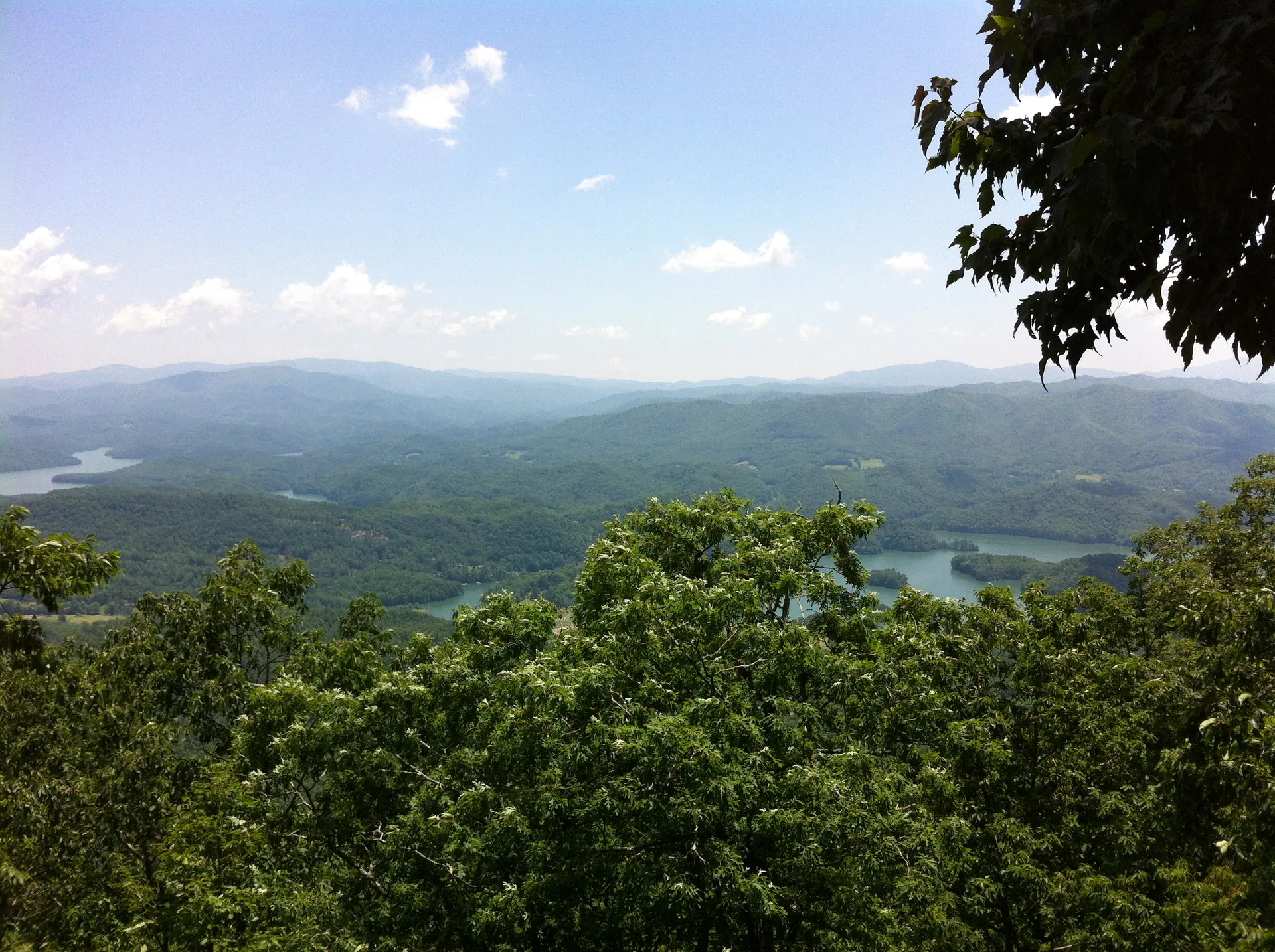 Photo on the Appalachian Trail near Damascus, Tennessee, May 30, 2012