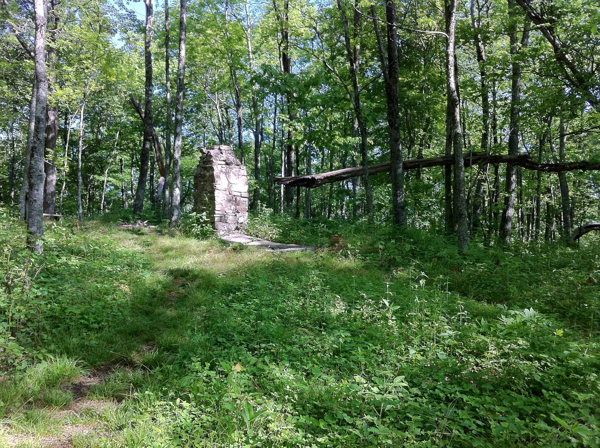 Photo on the Appalachian Trail near Damascus, Tennessee, May 31, 2012