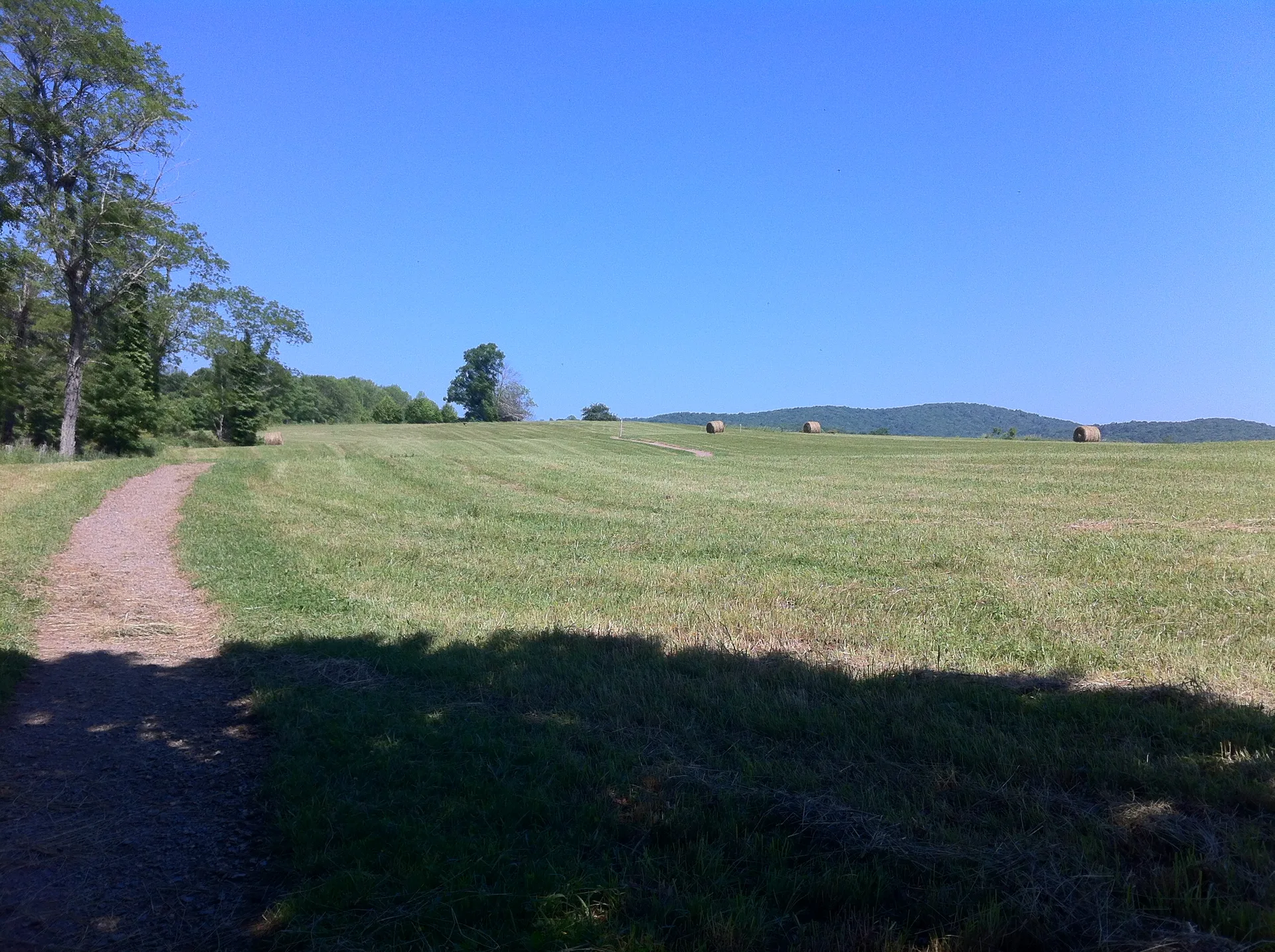 Photo on the Appalachian Trail near Damascus, Tennessee, May 31, 2012