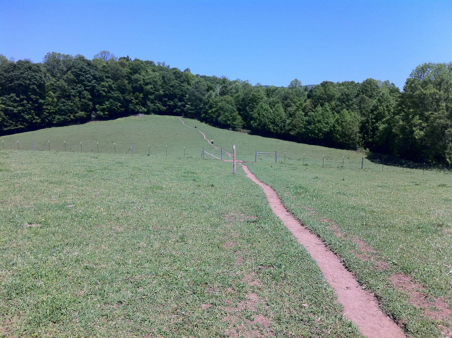 Photo on the Appalachian Trail near Damascus, Tennessee, May 31, 2012