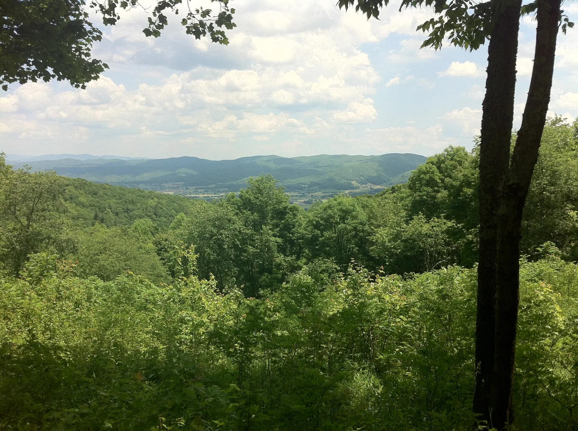 Photo on the Appalachian Trail near Damascus, Tennessee, May 31, 2012