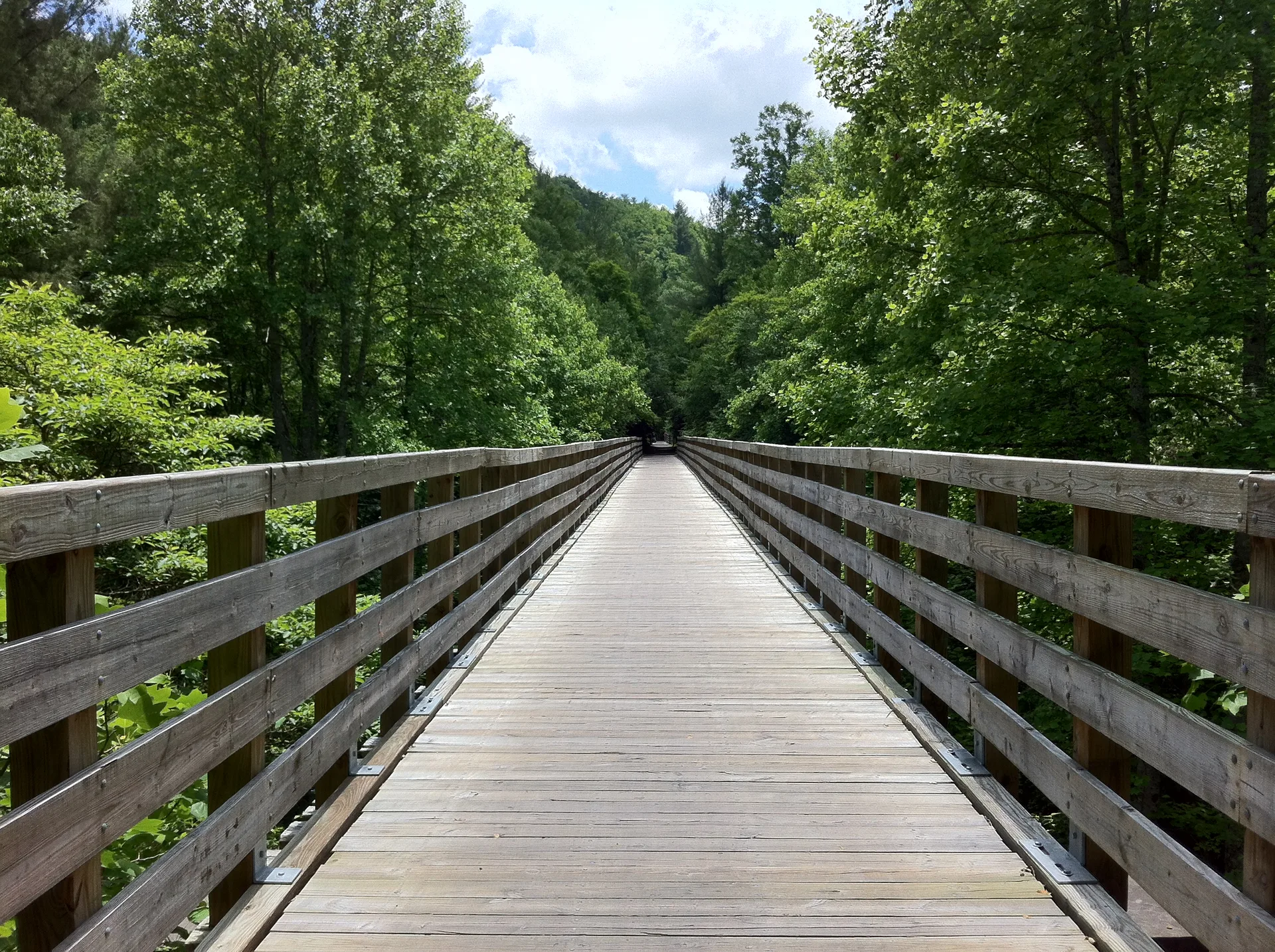 Photo on the Appalachian Trail near Damascus, Virginia, June 1, 2012