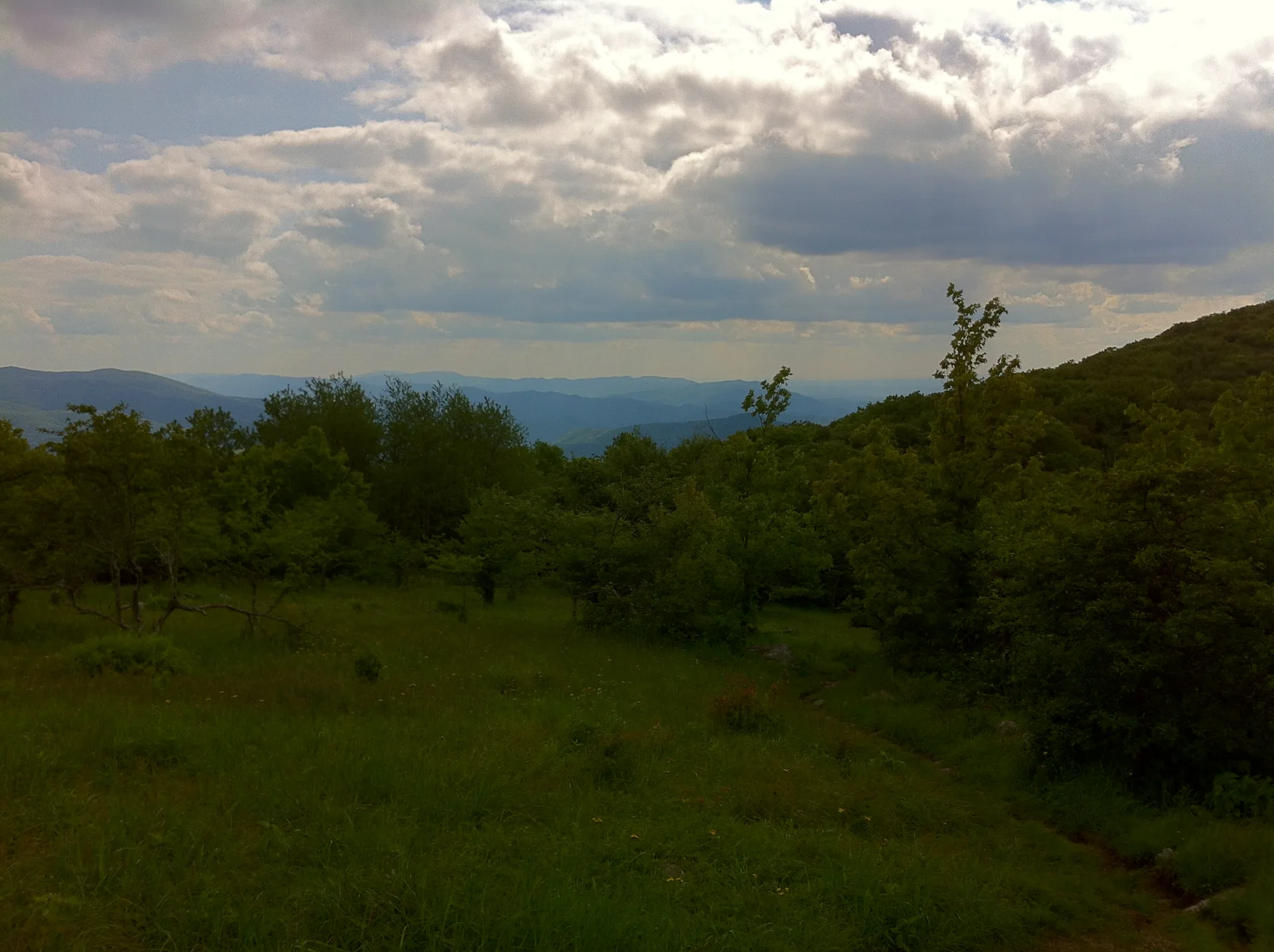 Photo on the Appalachian Trail near Damascus, Virginia, June 1, 2012