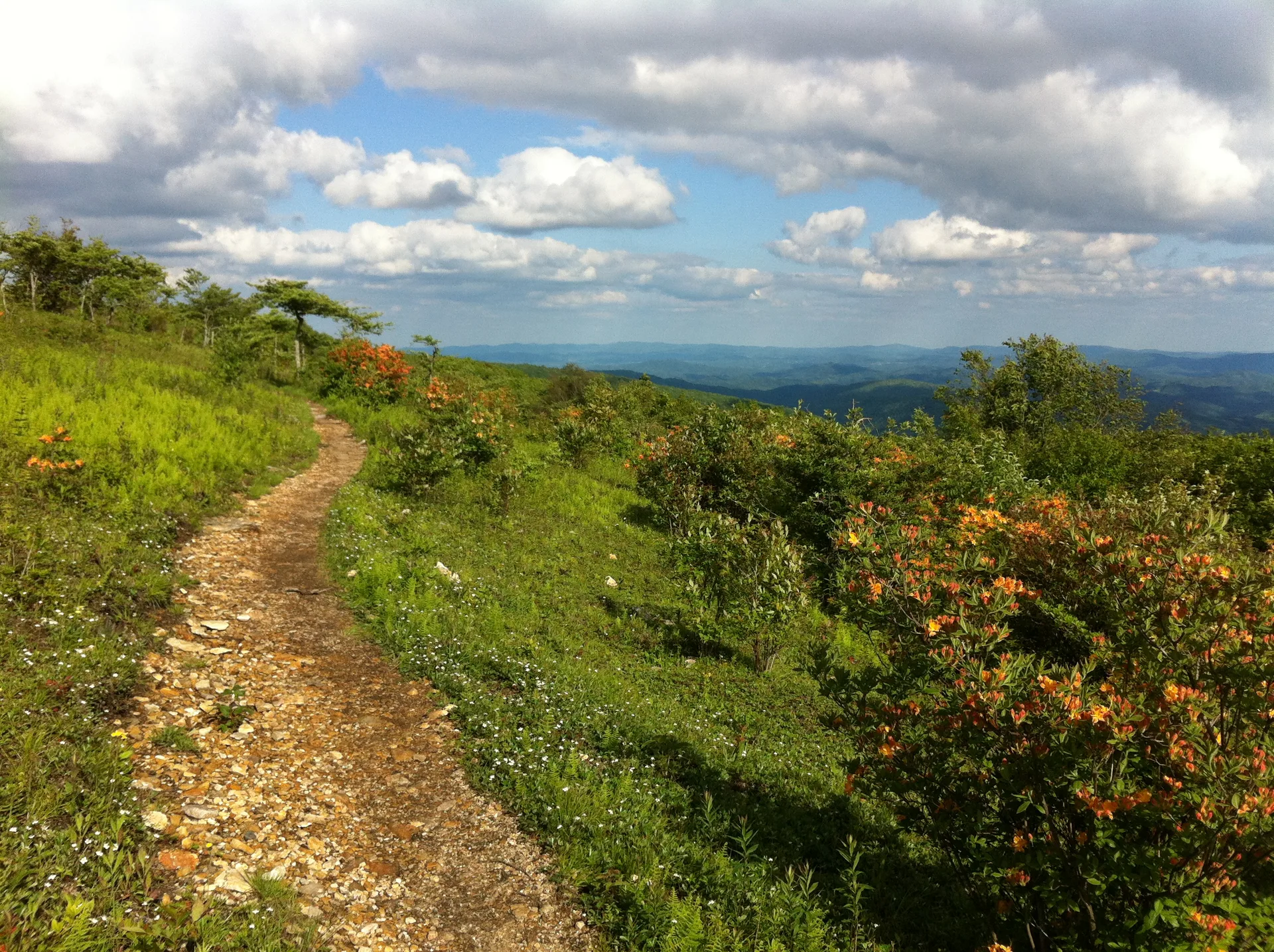 Photo on the Appalachian Trail near Damascus, Virginia, June 1, 2012