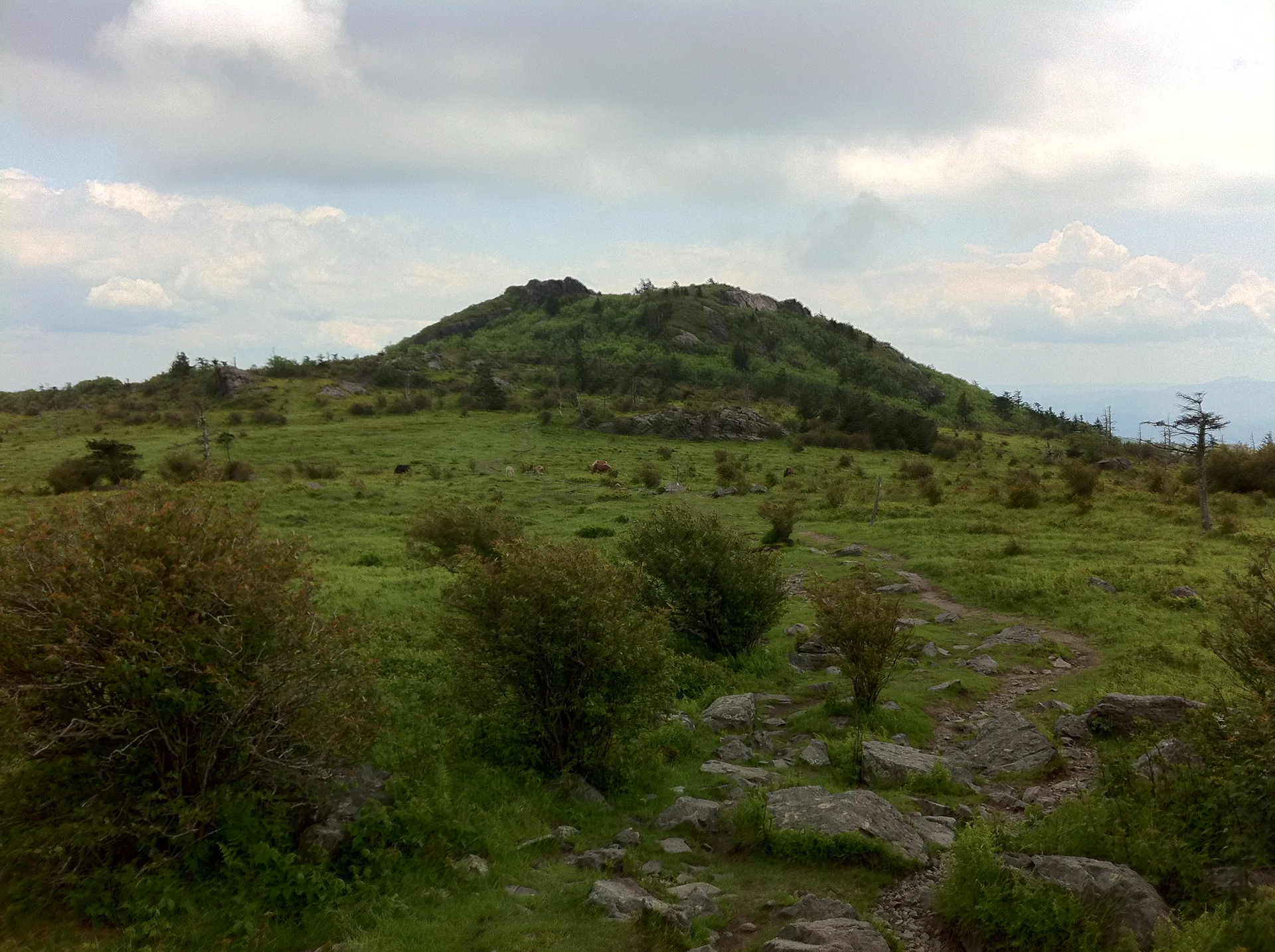 Photo on the Appalachian Trail near Mount Rogers, Virginia, June 3, 2012