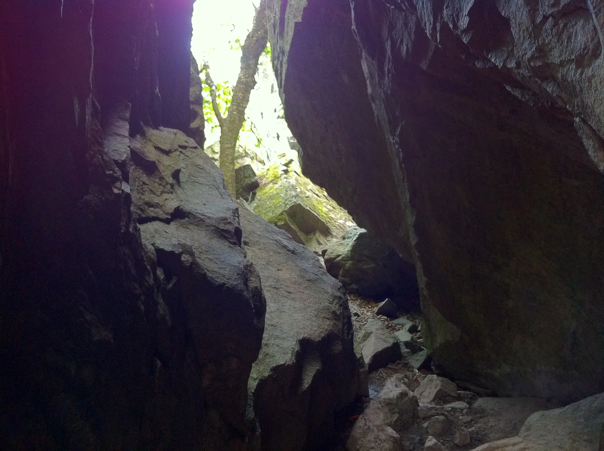 Photo on the Appalachian Trail near Mount Rogers, Virginia, June 3, 2012